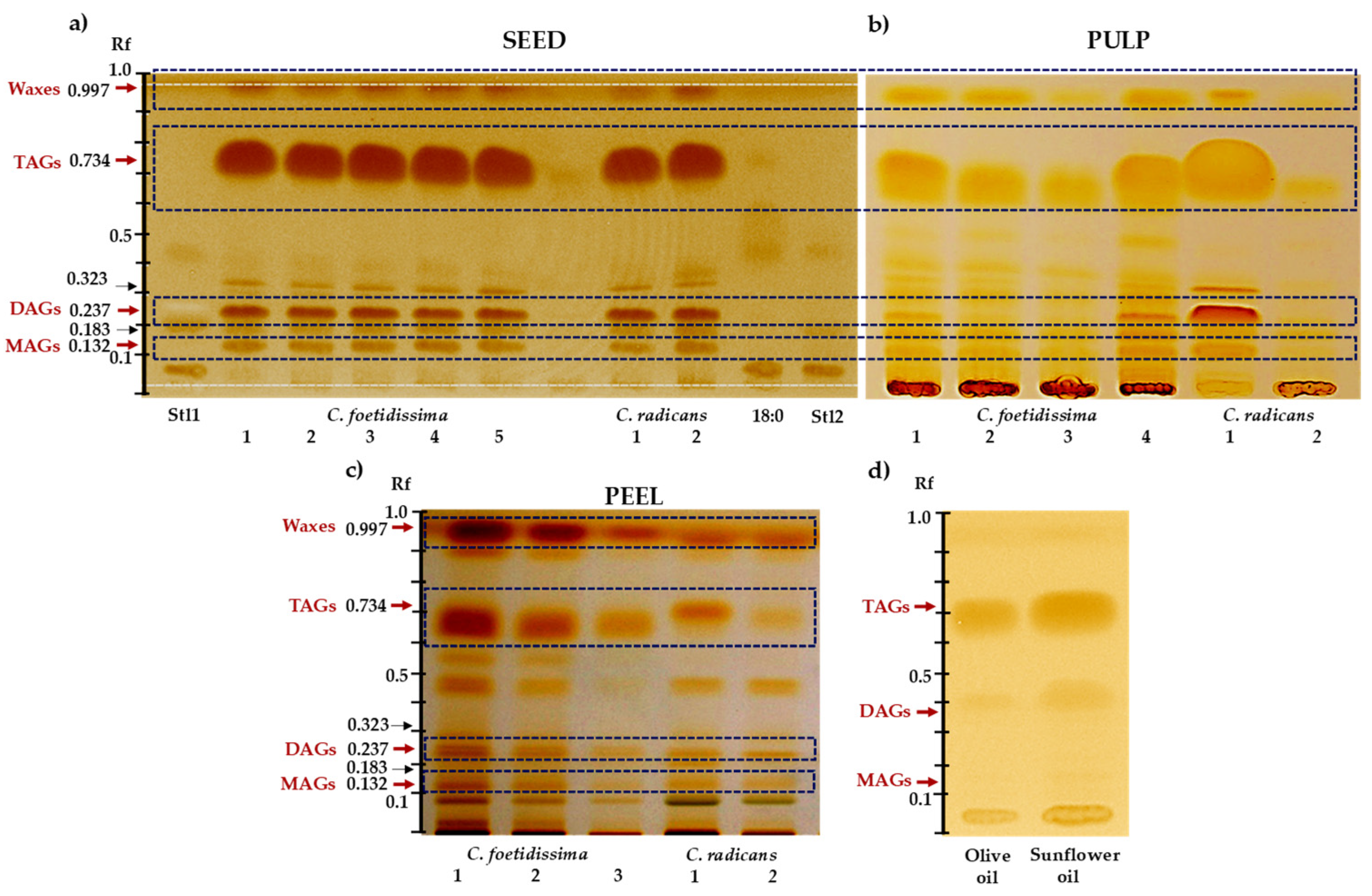 Plants 10 02451 g001