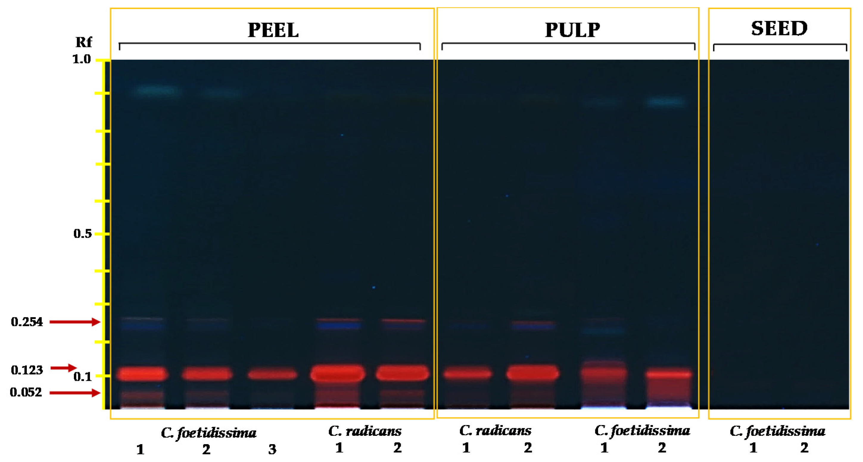 Plants 10 02451 g002