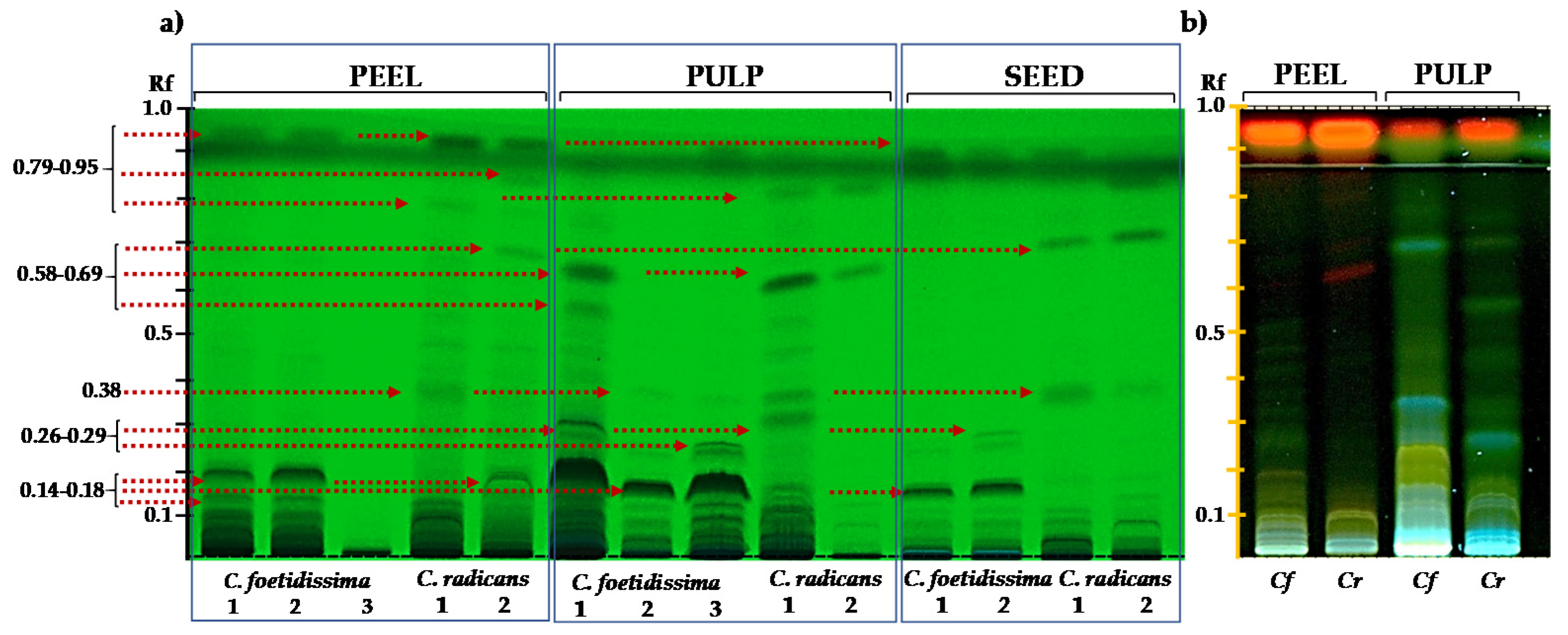 Plants 10 02451 g003