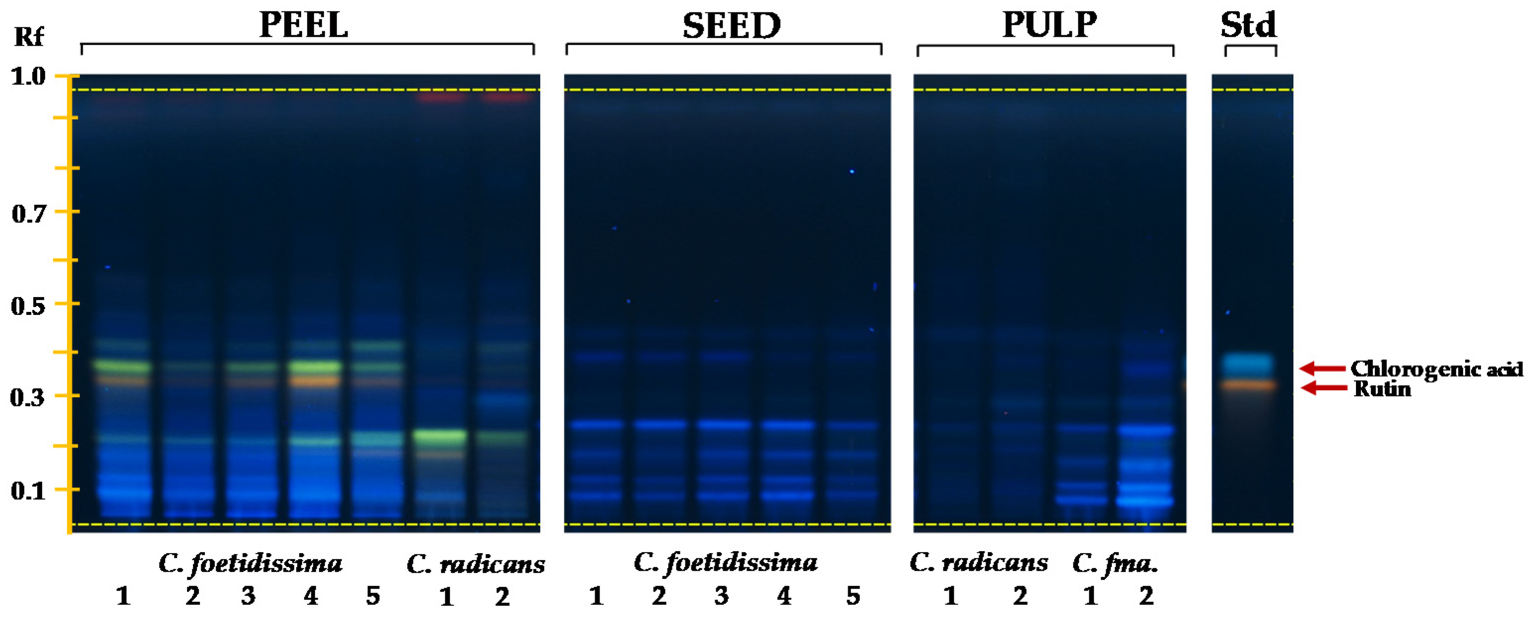 Plants 10 02451 g004