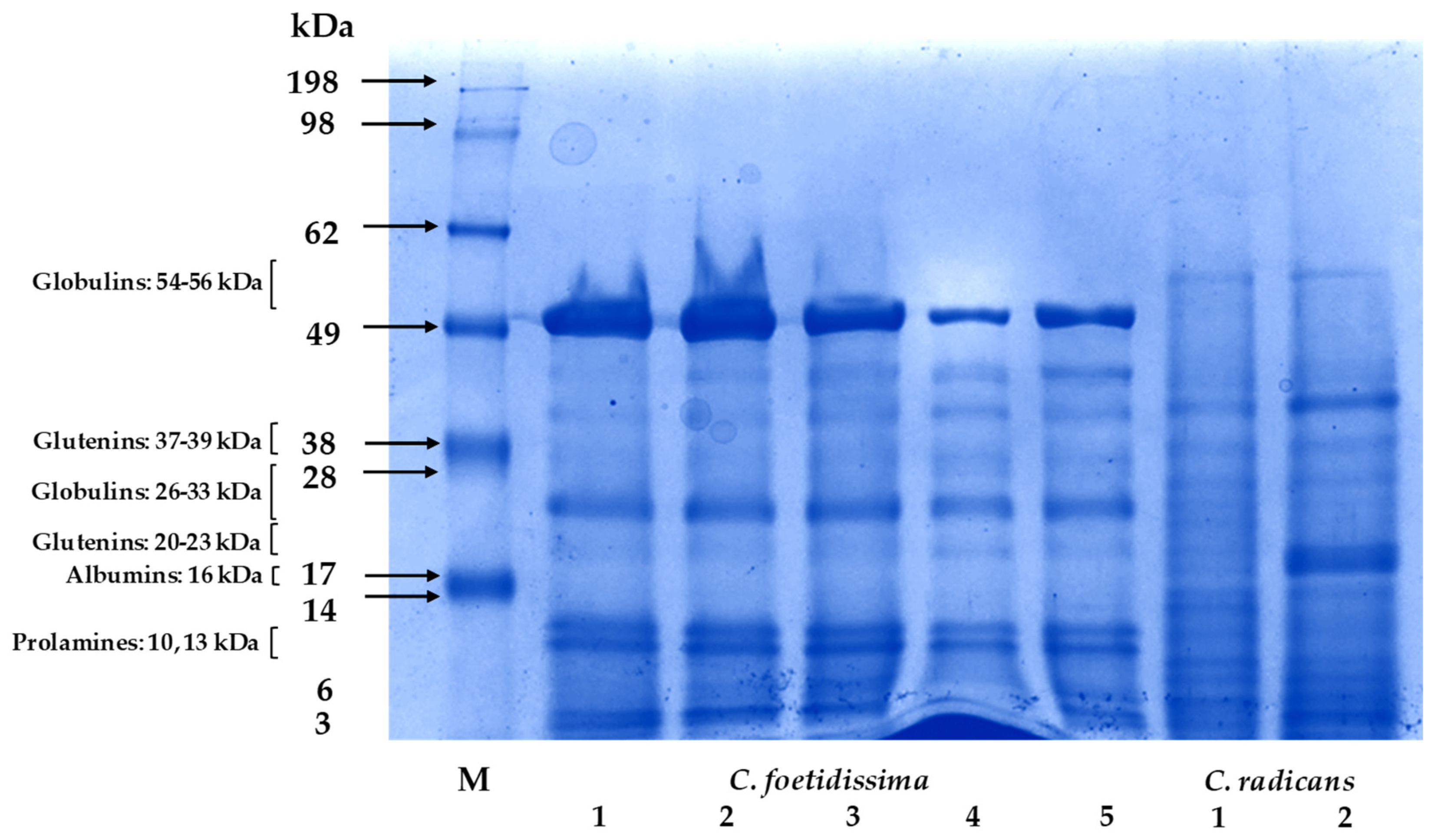 Plants 10 02451 g005