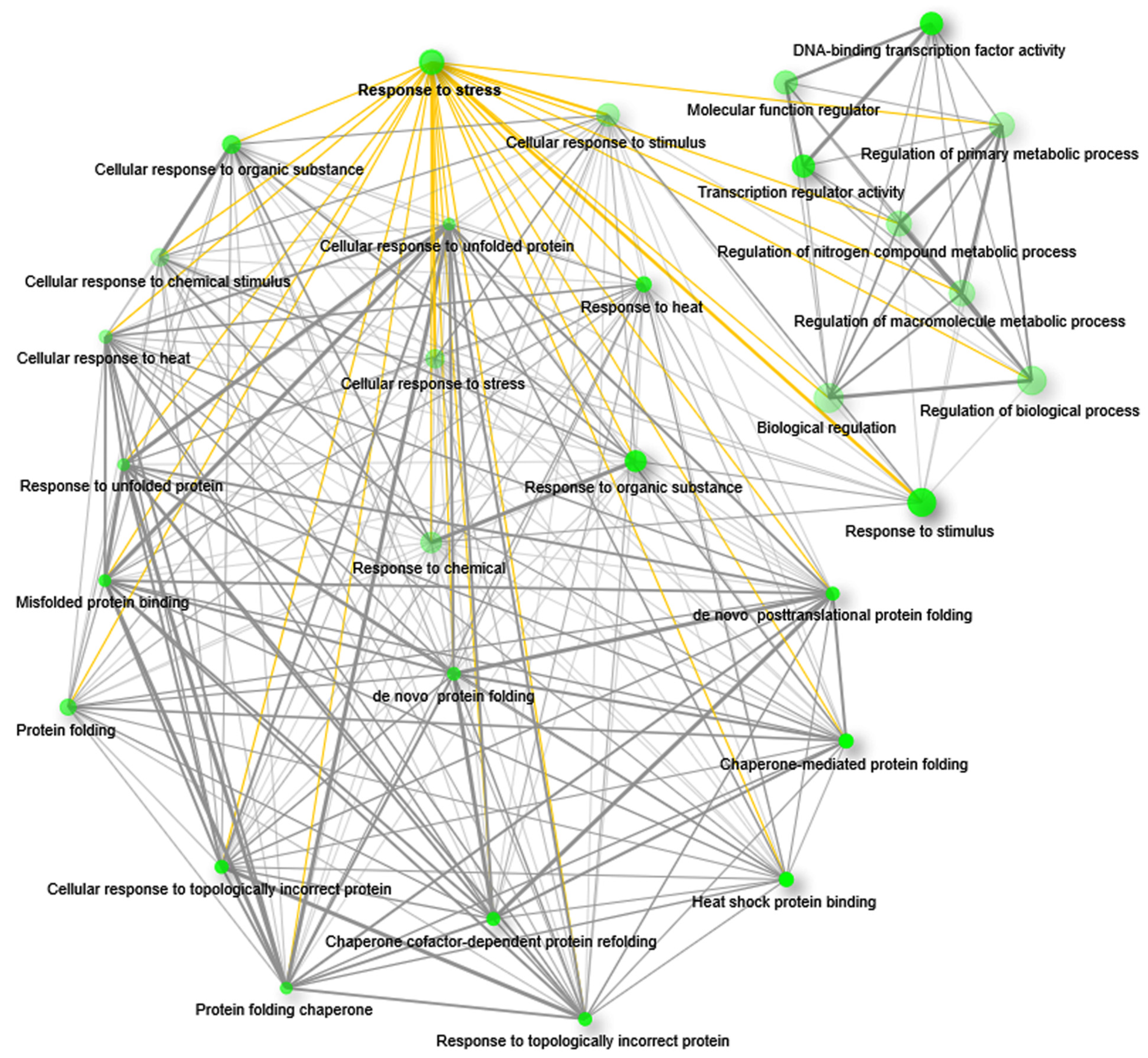 Plants 10 02465 g004