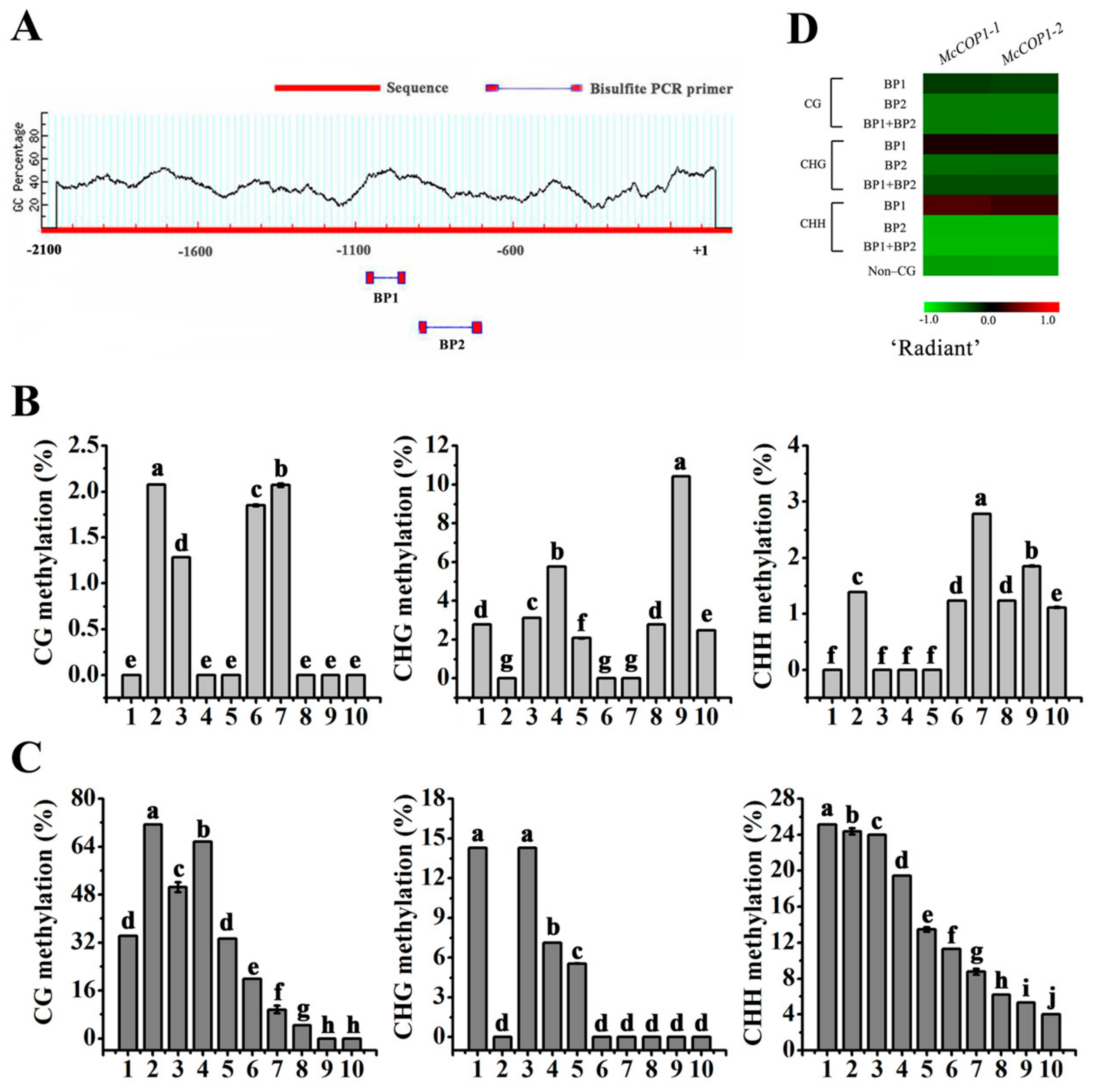 Plants 10 02466 g002 550