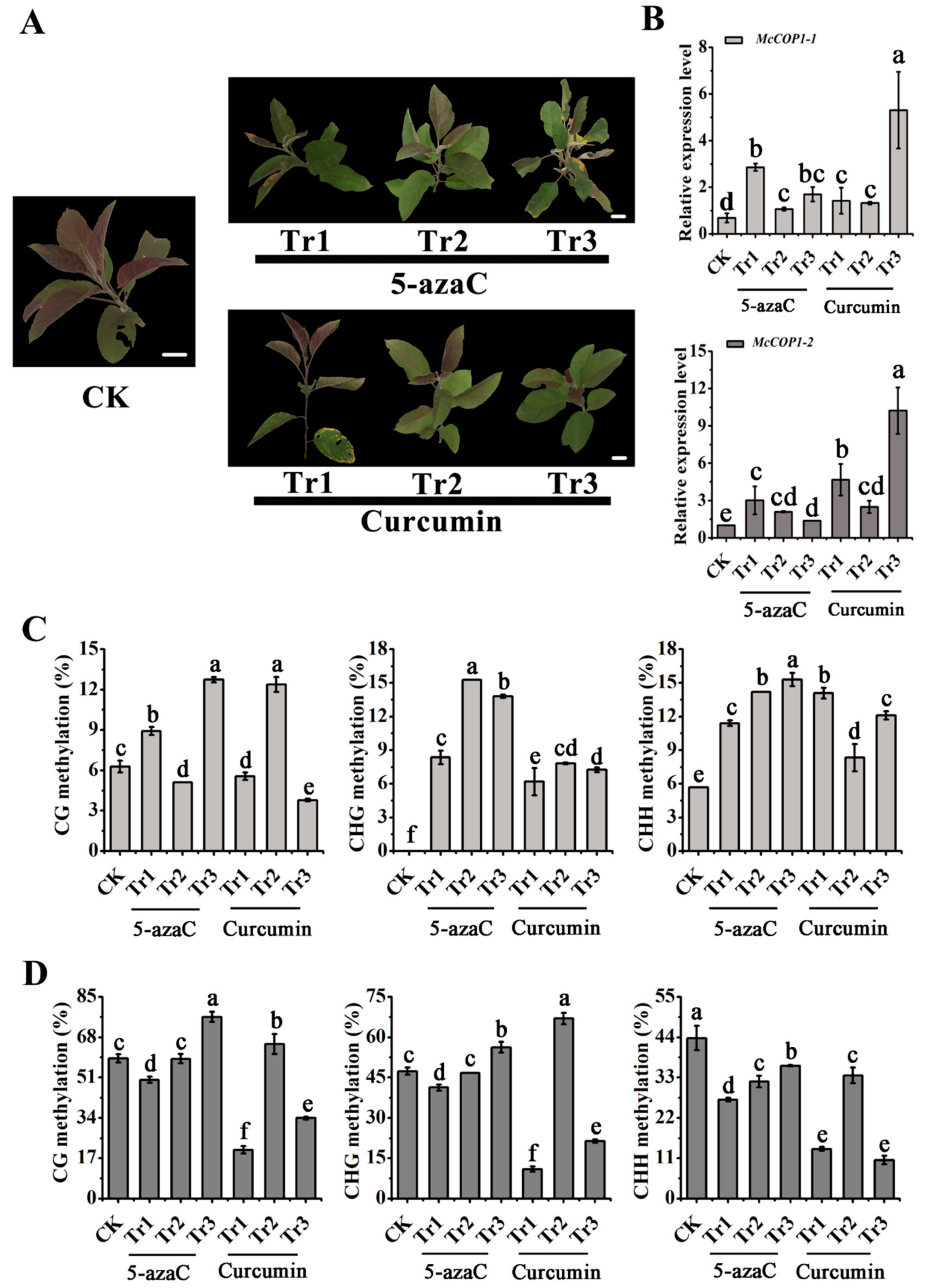 Plants 10 02466 g003 550