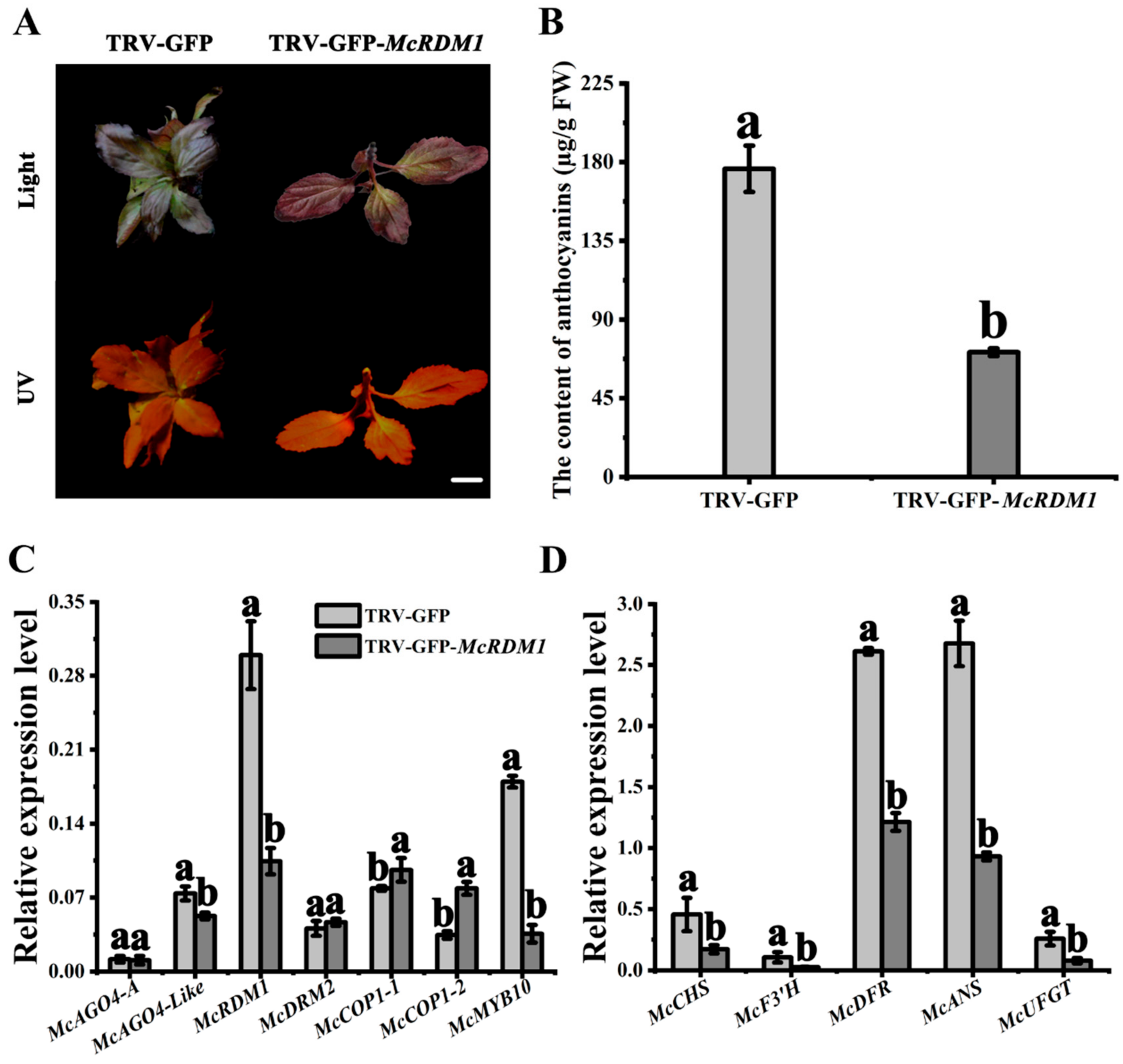 Plants 10 02466 g005 550