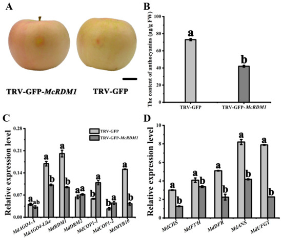 Smirnoff Frontiers | Interaction between ABA and NO in plants under