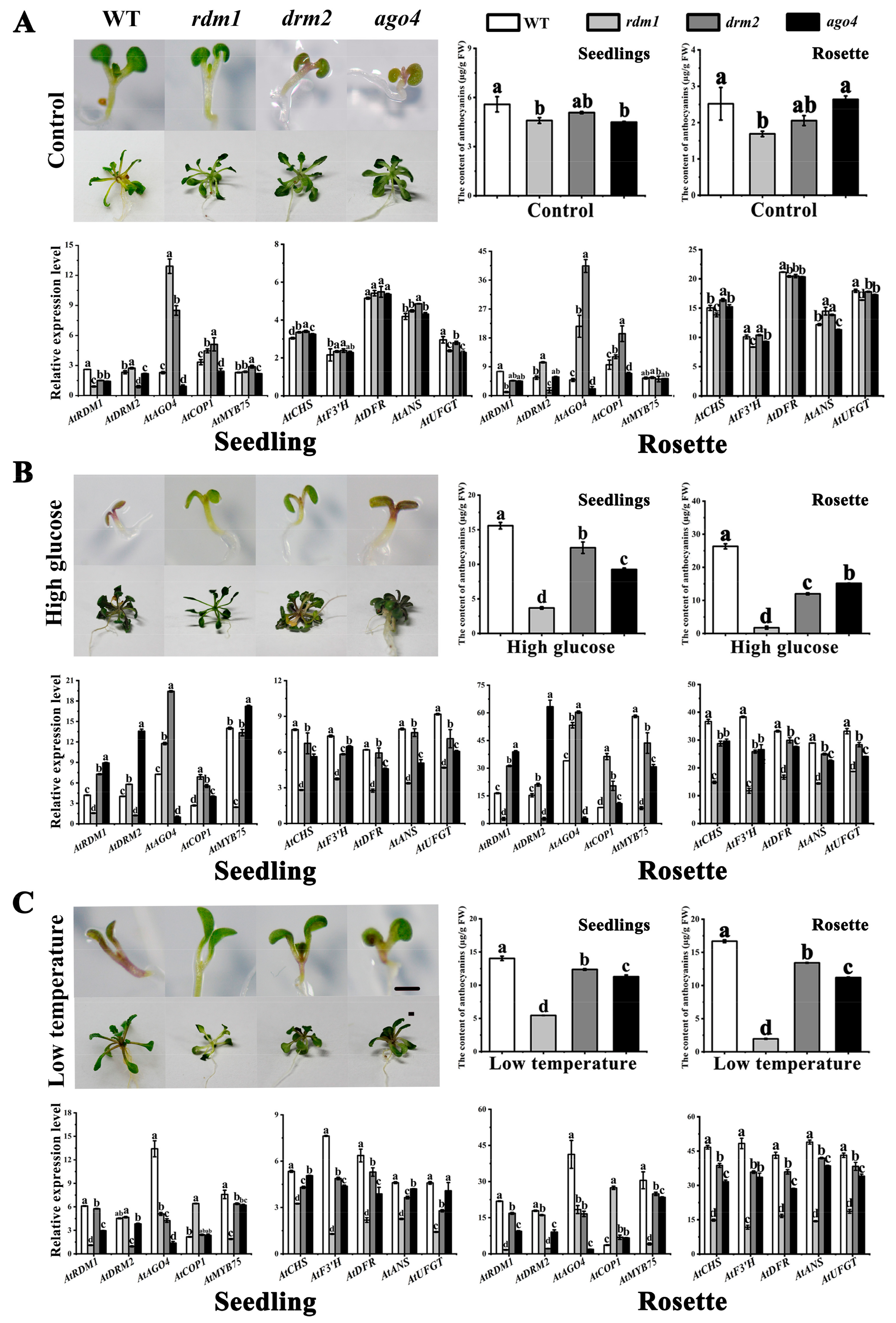 Plants 10 02466 g007 550