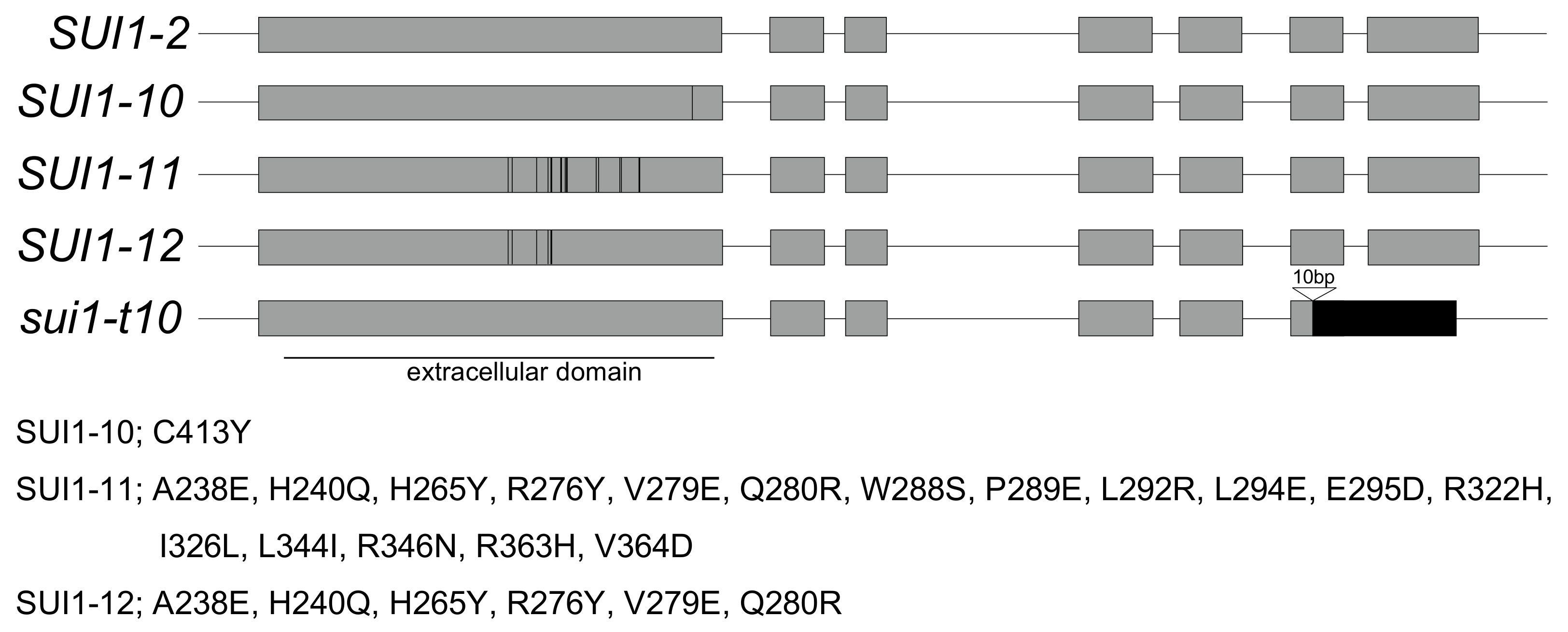 Plants 10 02467 g001 Plants 10 02467 g001