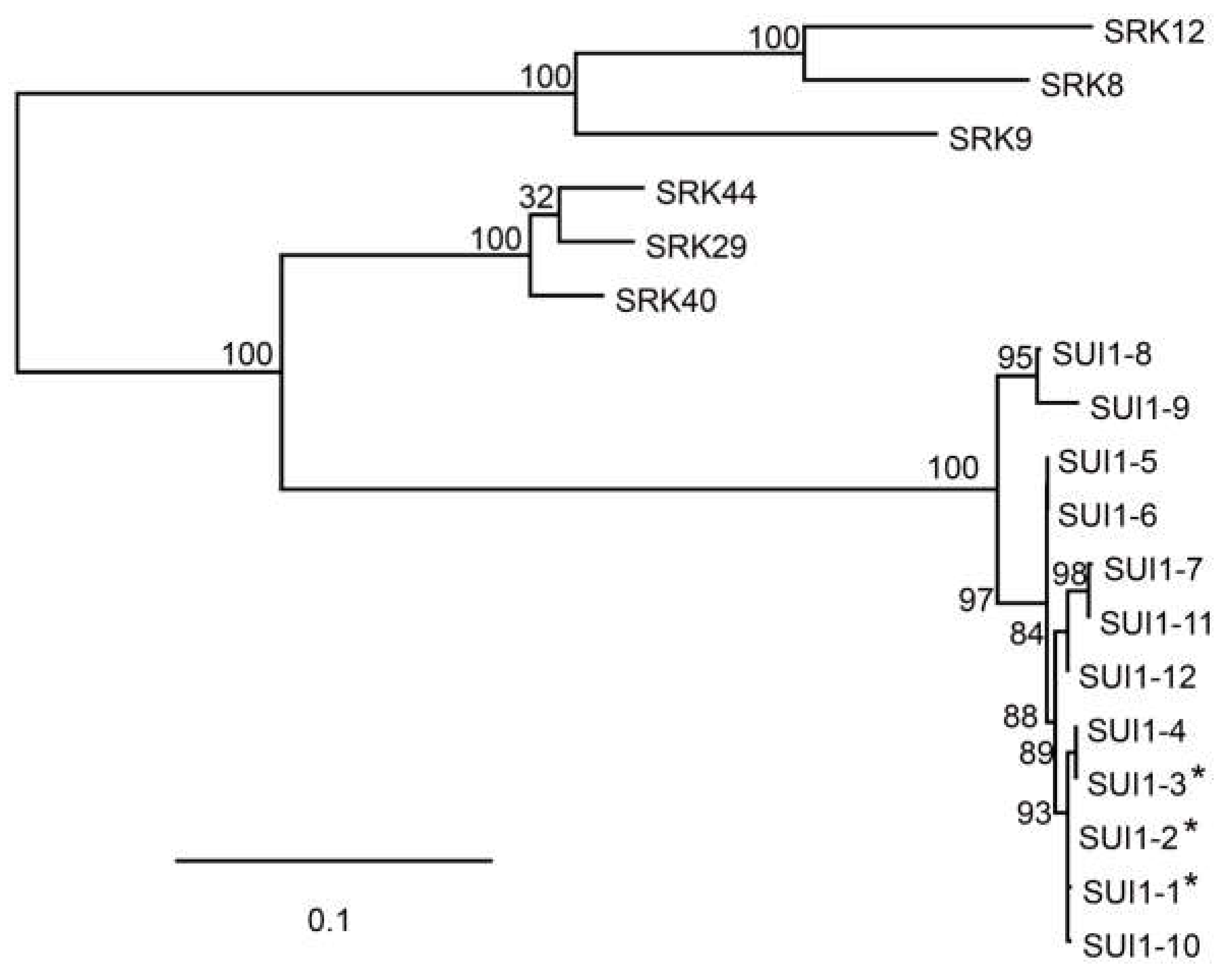 Plants 10 02467 g002 Plants 10 02467 g002