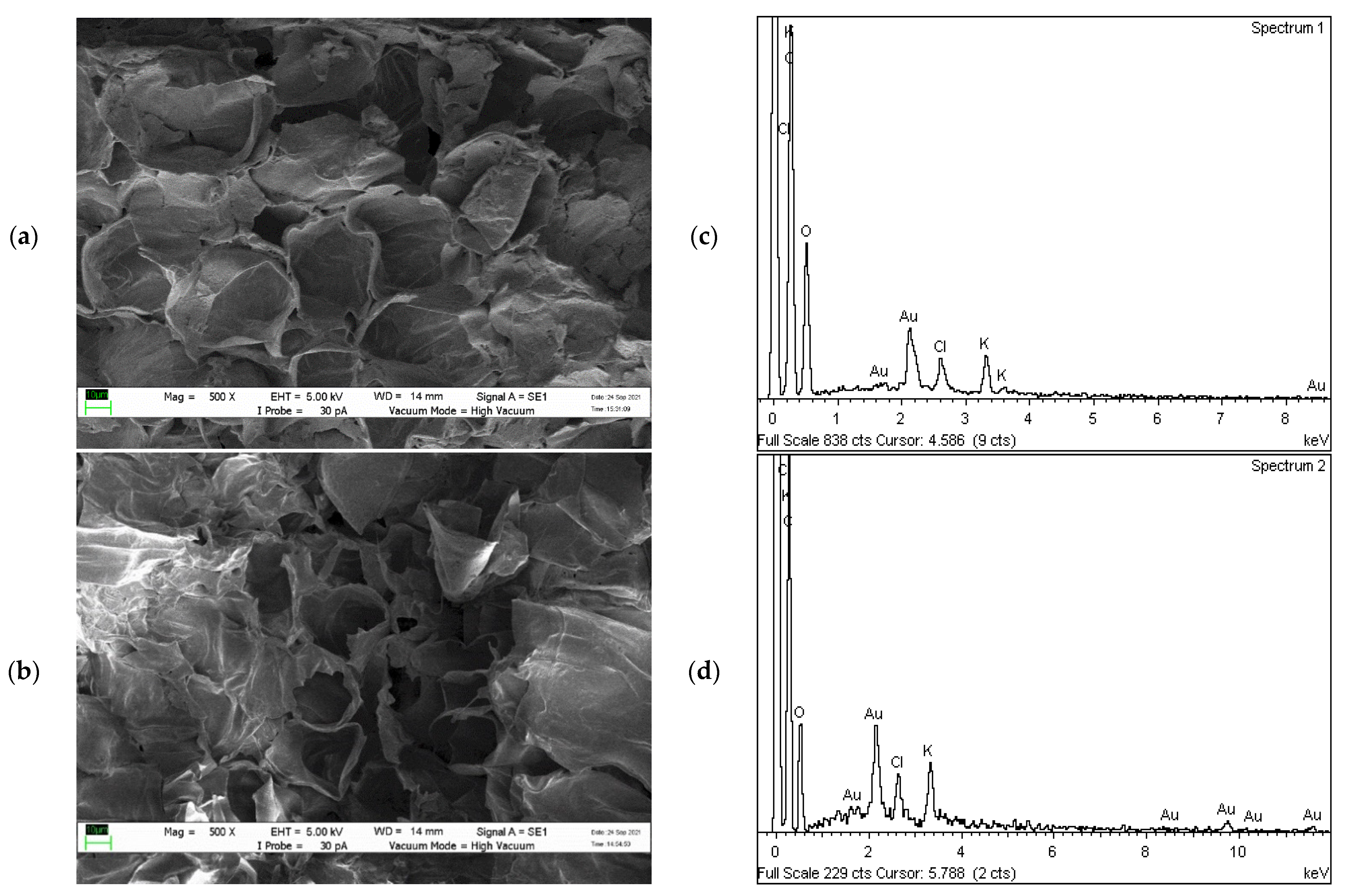 Plants 10 02468 g003