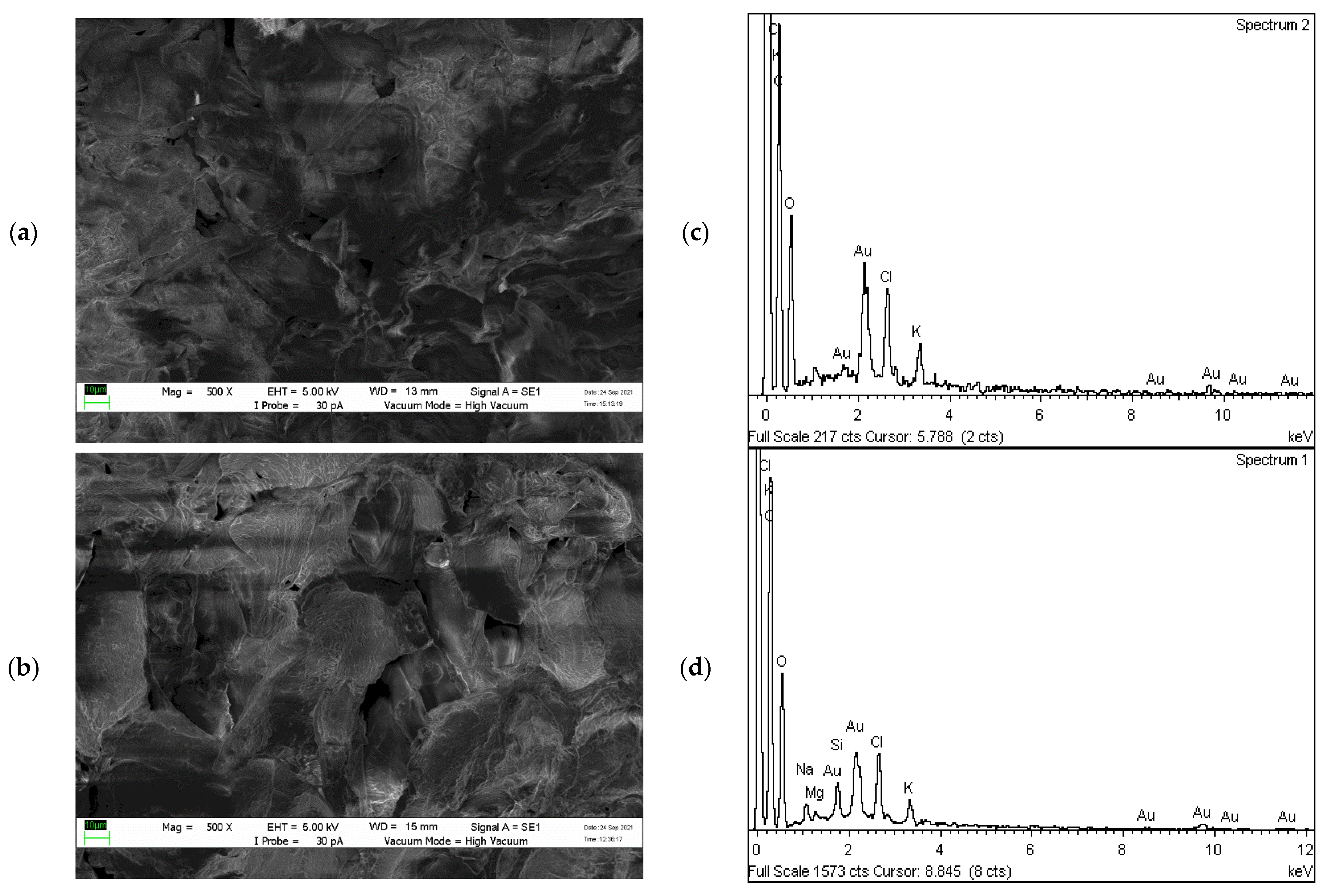 Plants 10 02468 g004