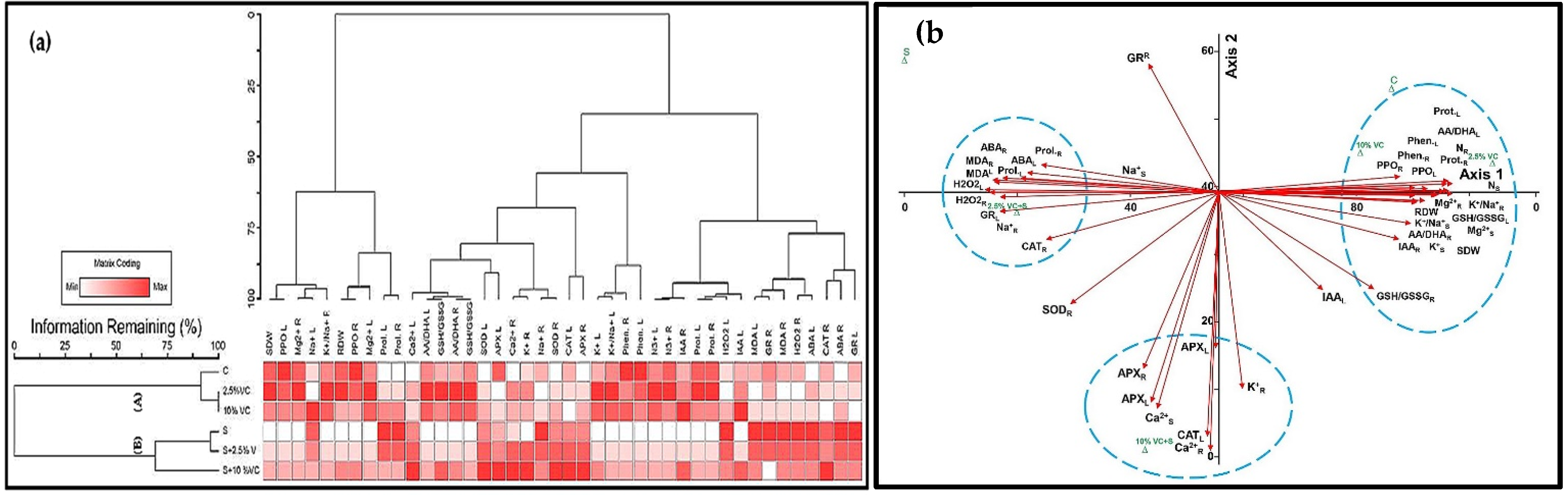 Plants 10 02477 g003 Plants 10 02477 g003
