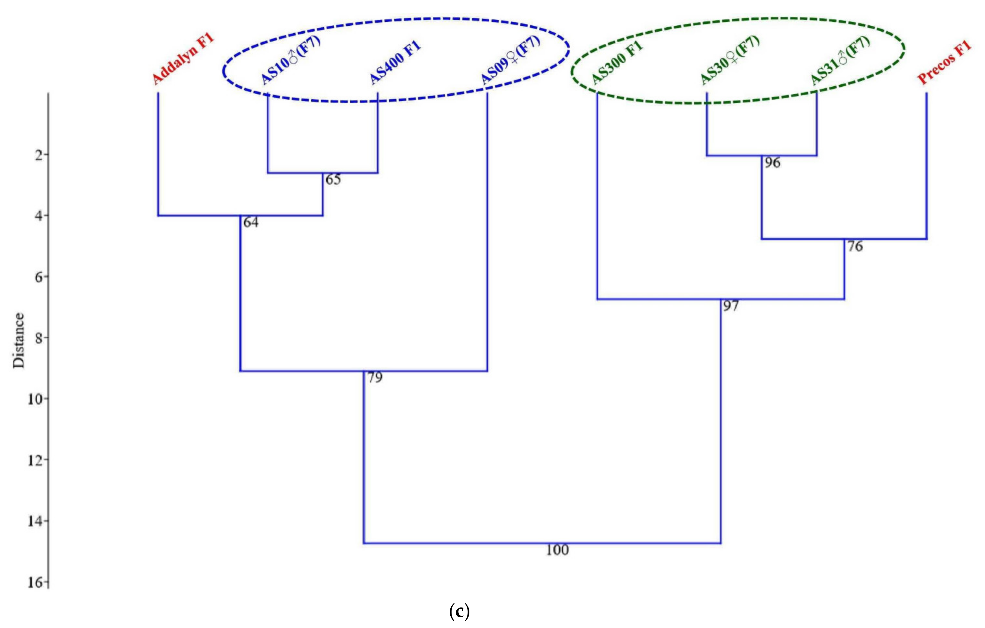 Plants 10 02480 g006b Plants 10 02480 g006b