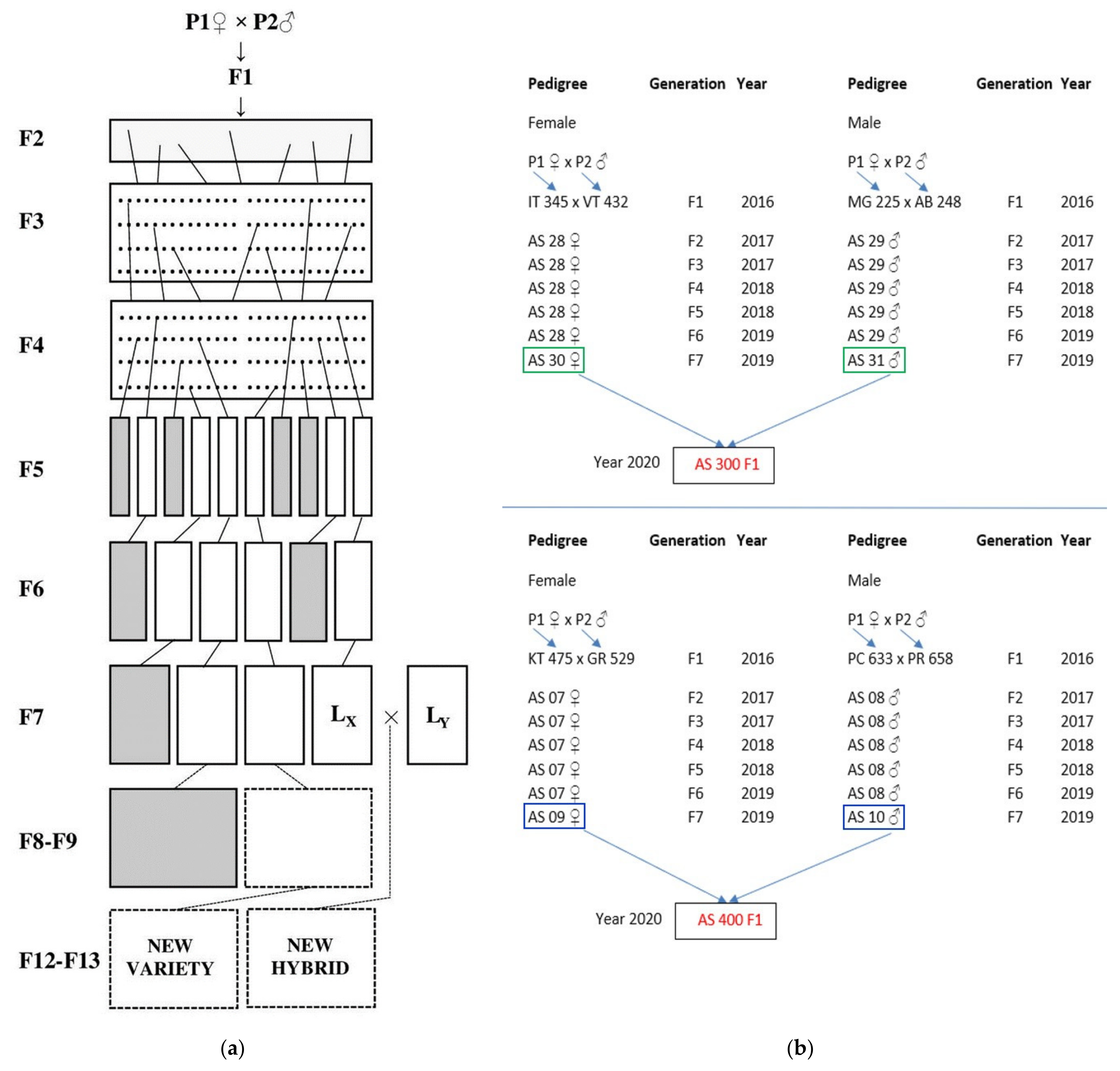 Plants 10 02480 g007 Plants 10 02480 g007