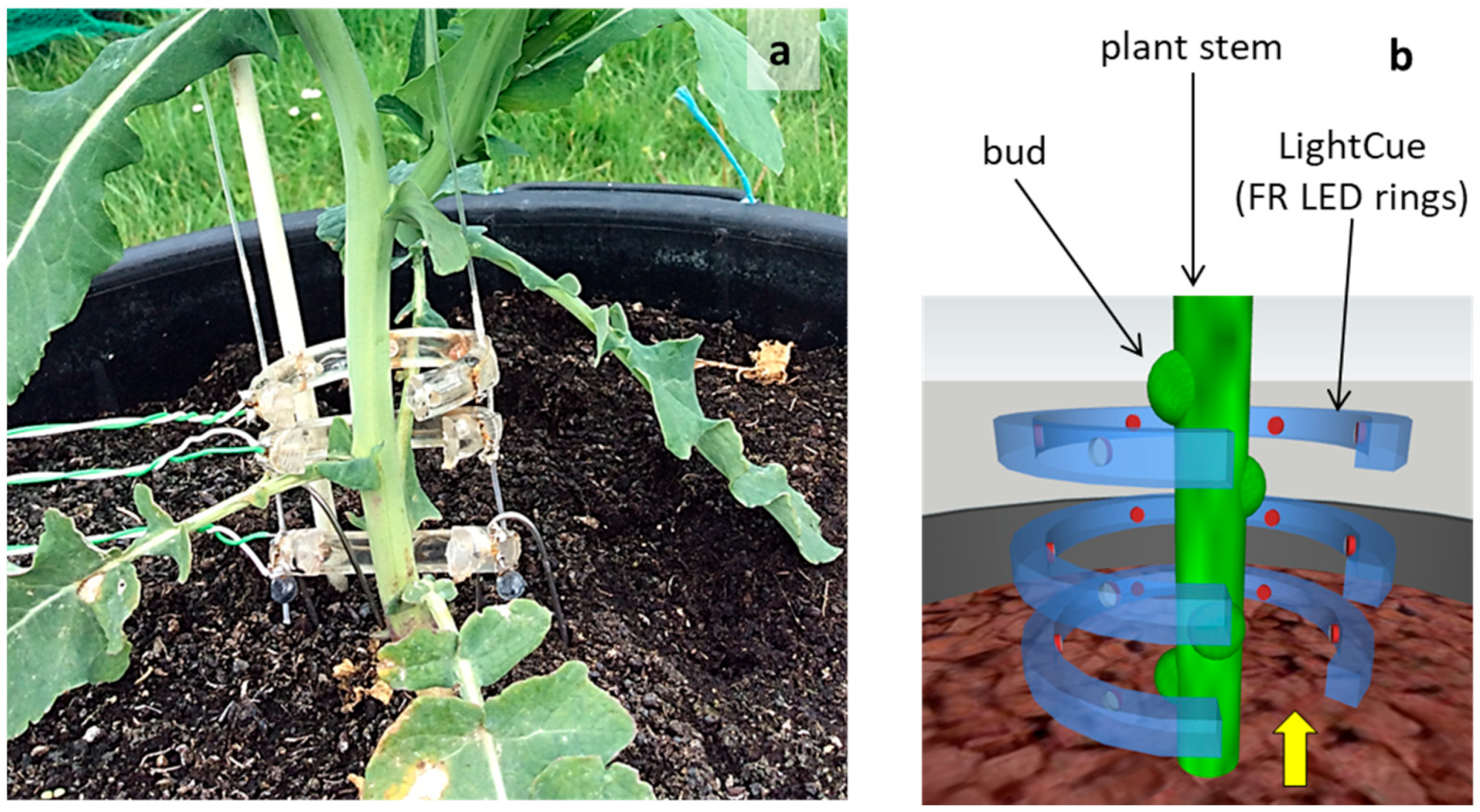 Plants 10 02483 g001 550