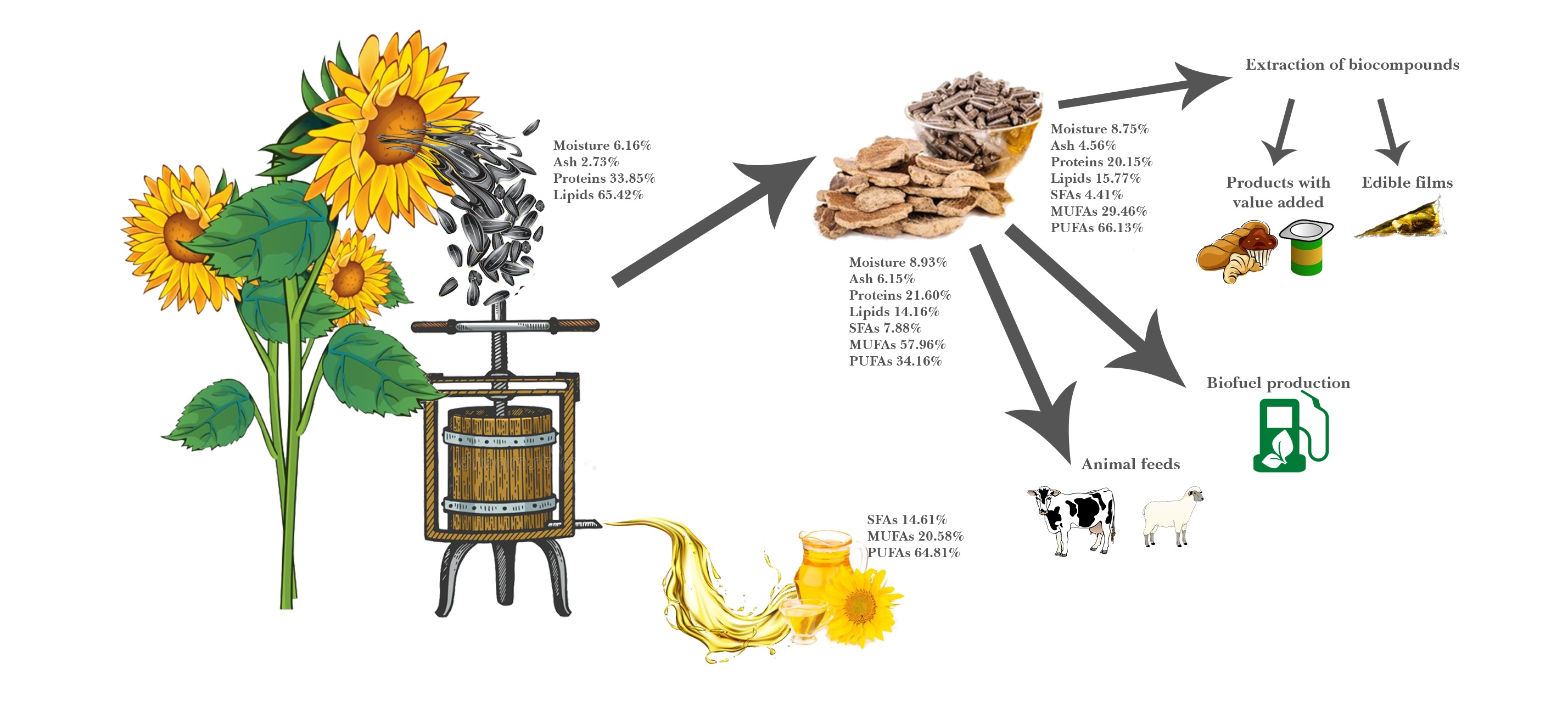 Plants Free FullText Nutritional Characteristics Assessment of