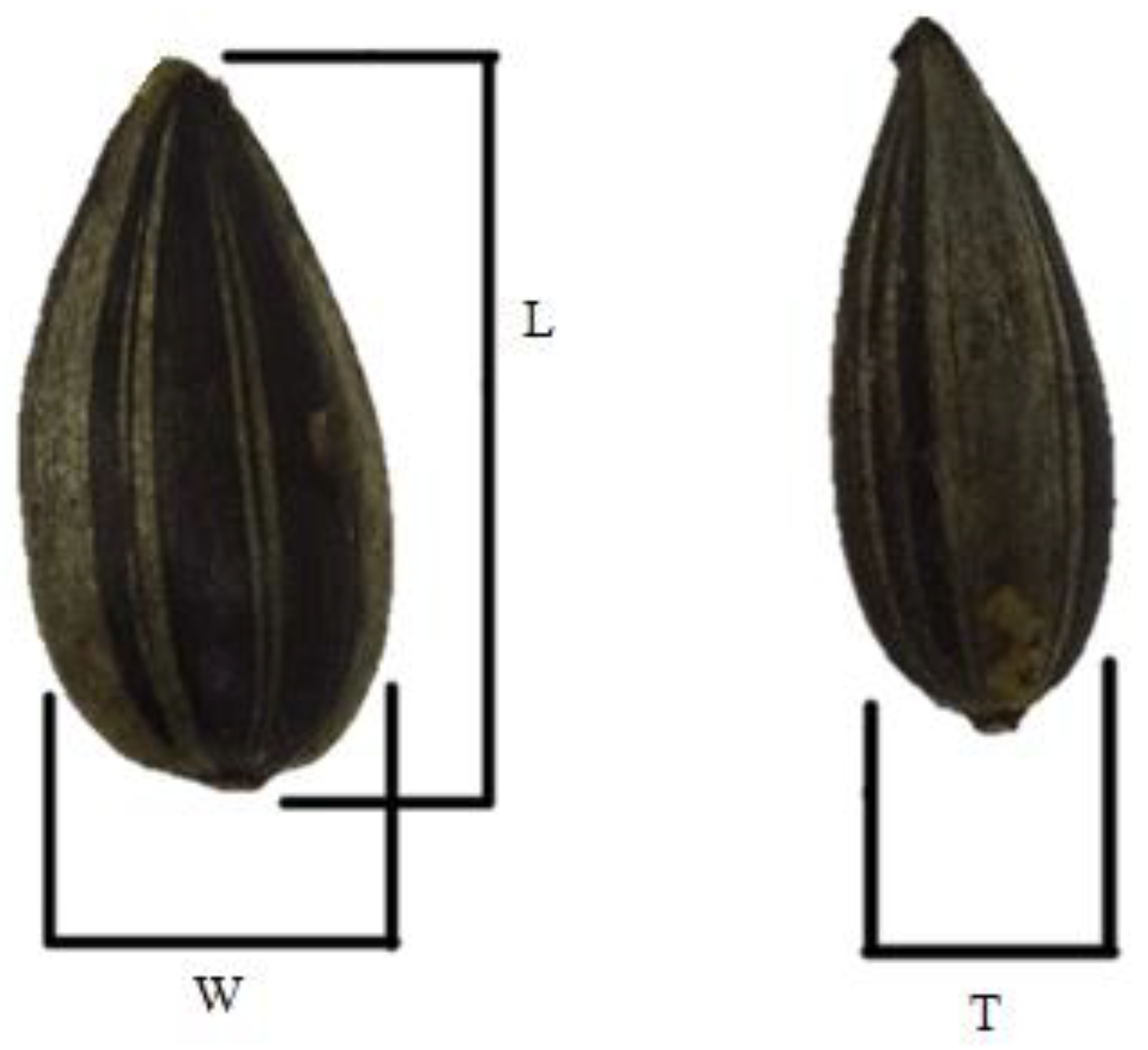 Plants Free FullText Nutritional Characteristics Assessment of