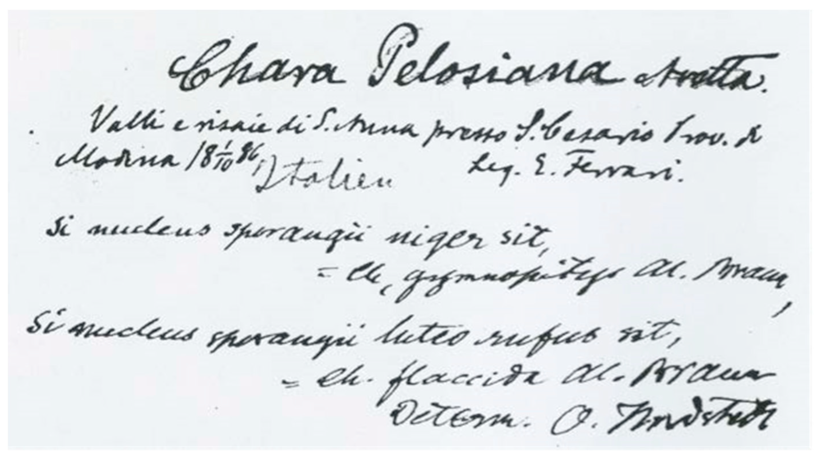 Plants 10 02488 g004