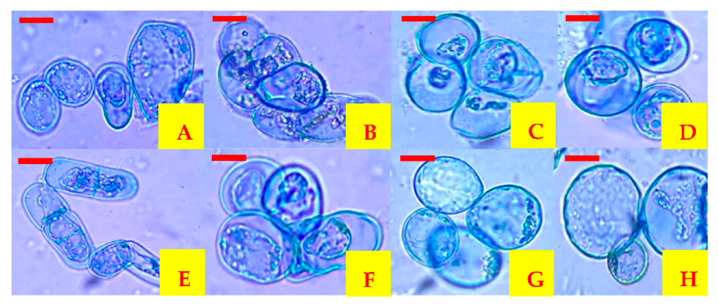 Plants 10 02491 g002 Plants 10 02491 g002