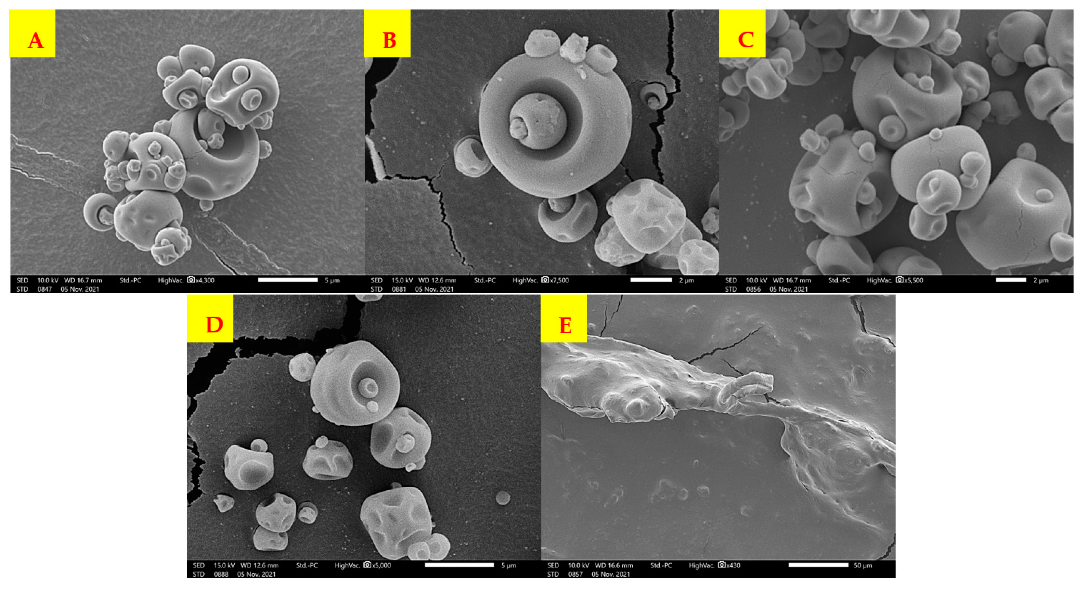 Plants 10 02491 g006 Plants 10 02491 g006