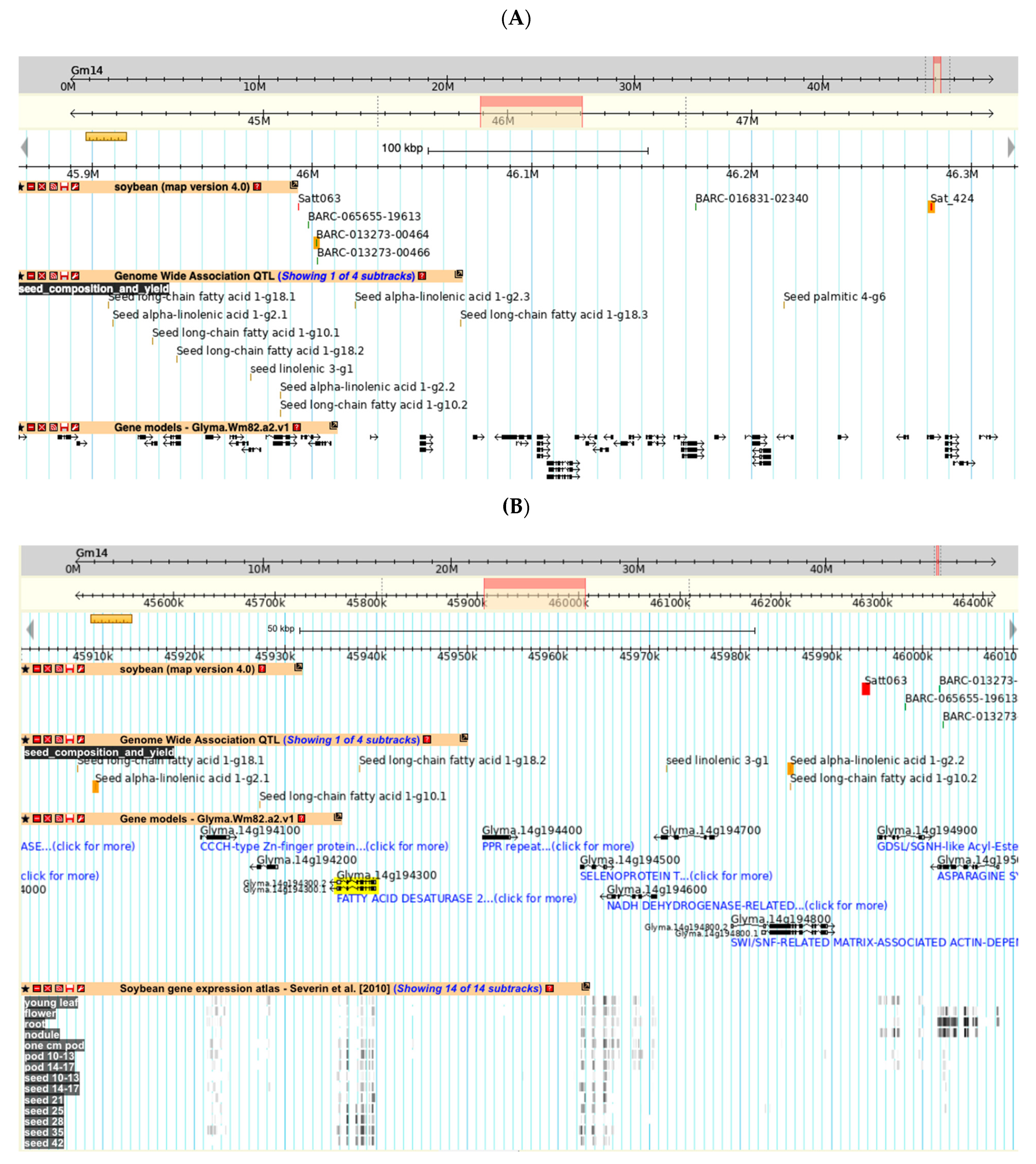 Plants 10 02494 g004 550