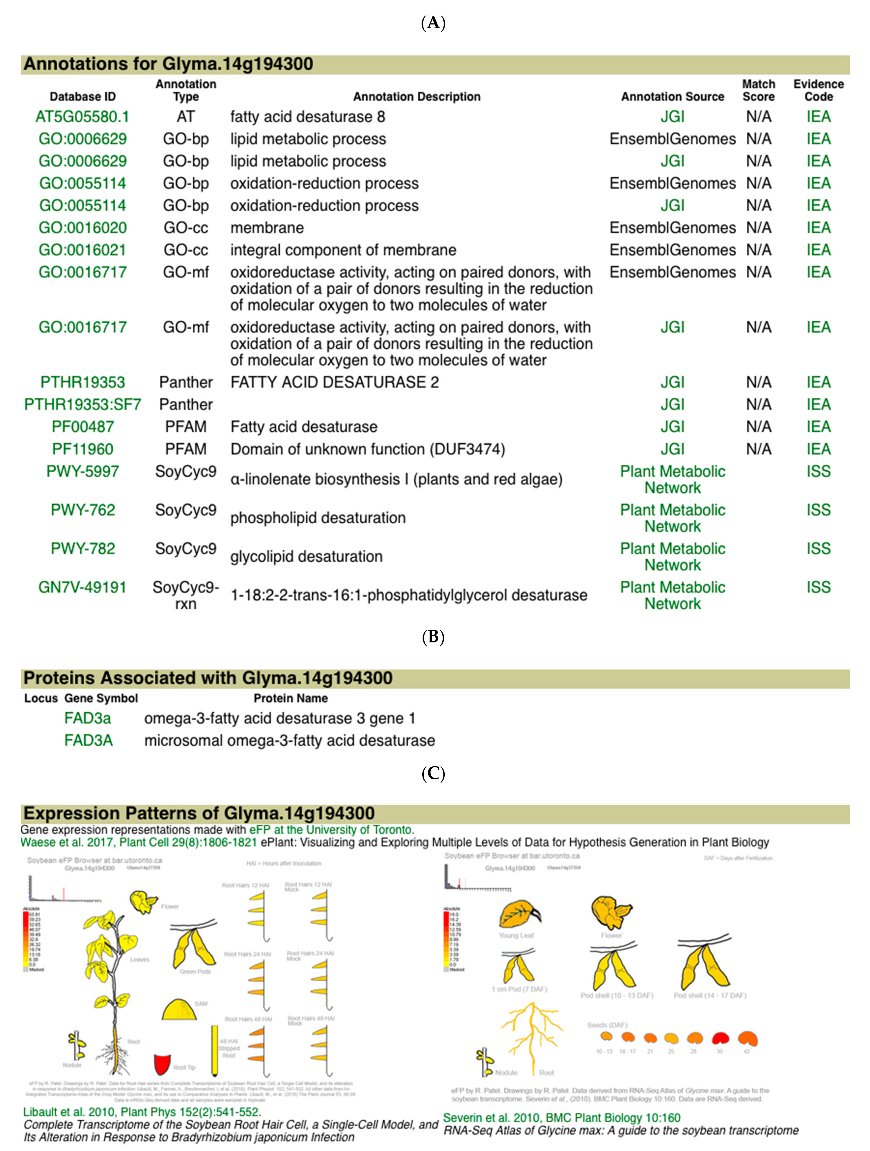 Plants 10 02494 g005 550
