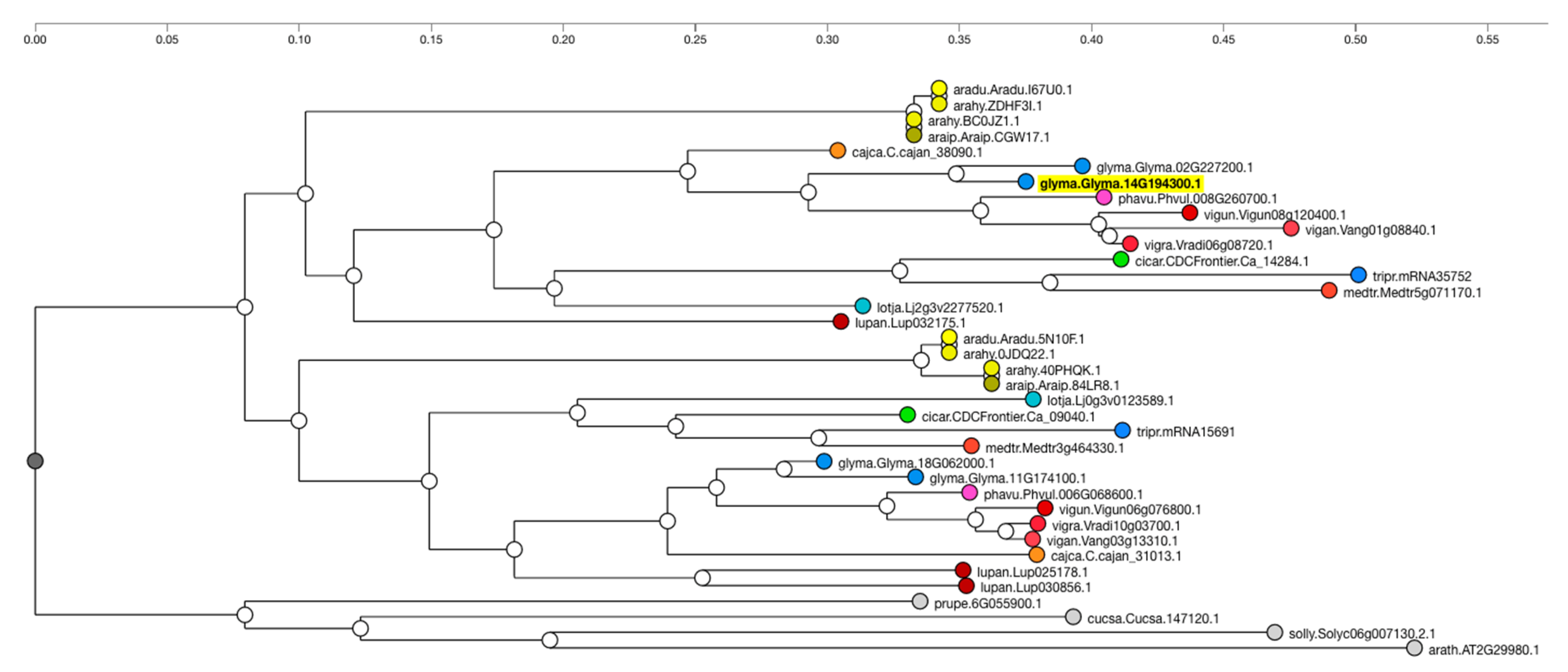 Plants 10 02494 g006 550