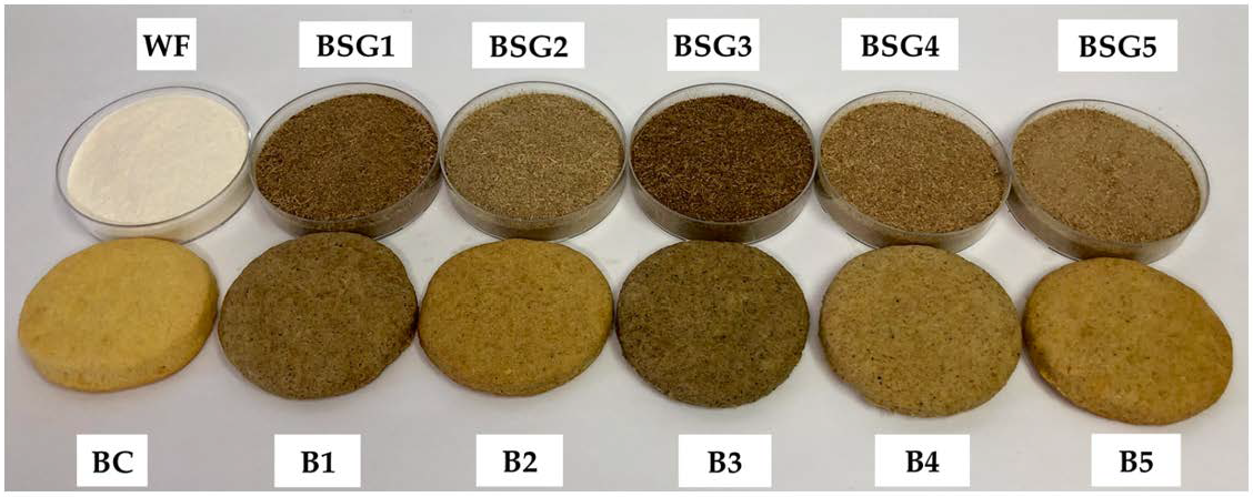 Plants 10 02504 g001 550