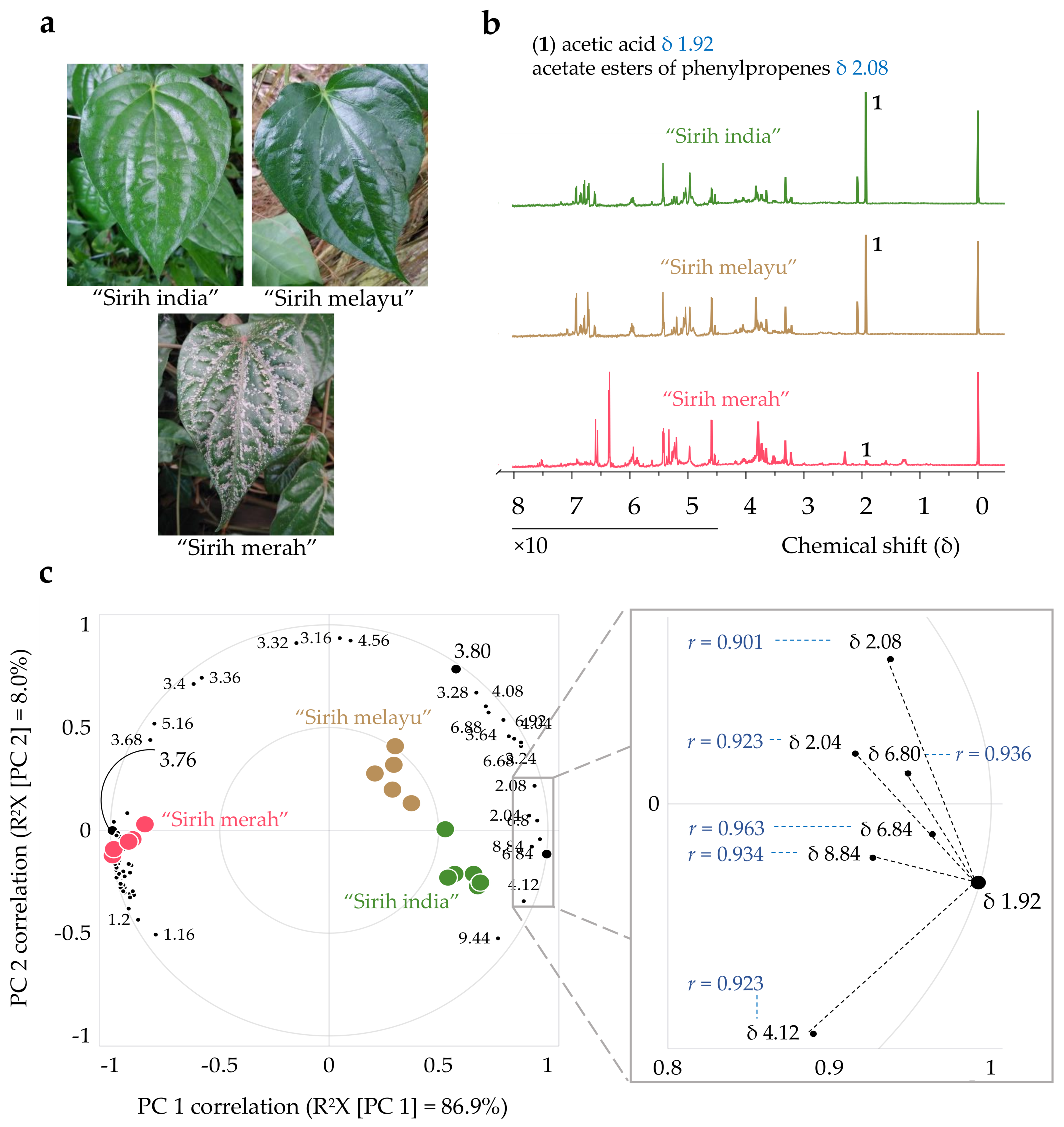 Plants 10 02510 g001