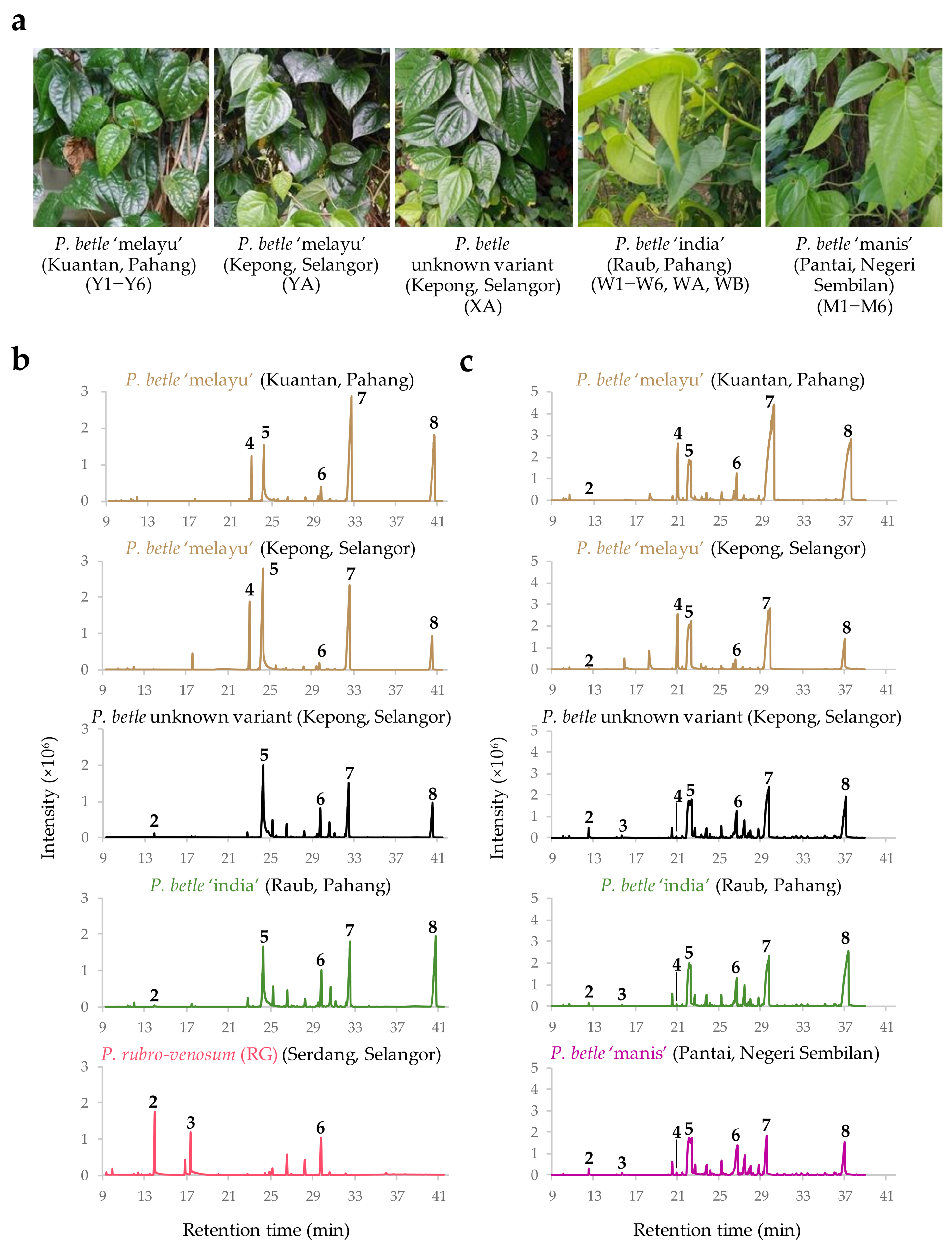 Plants 10 02510 g003