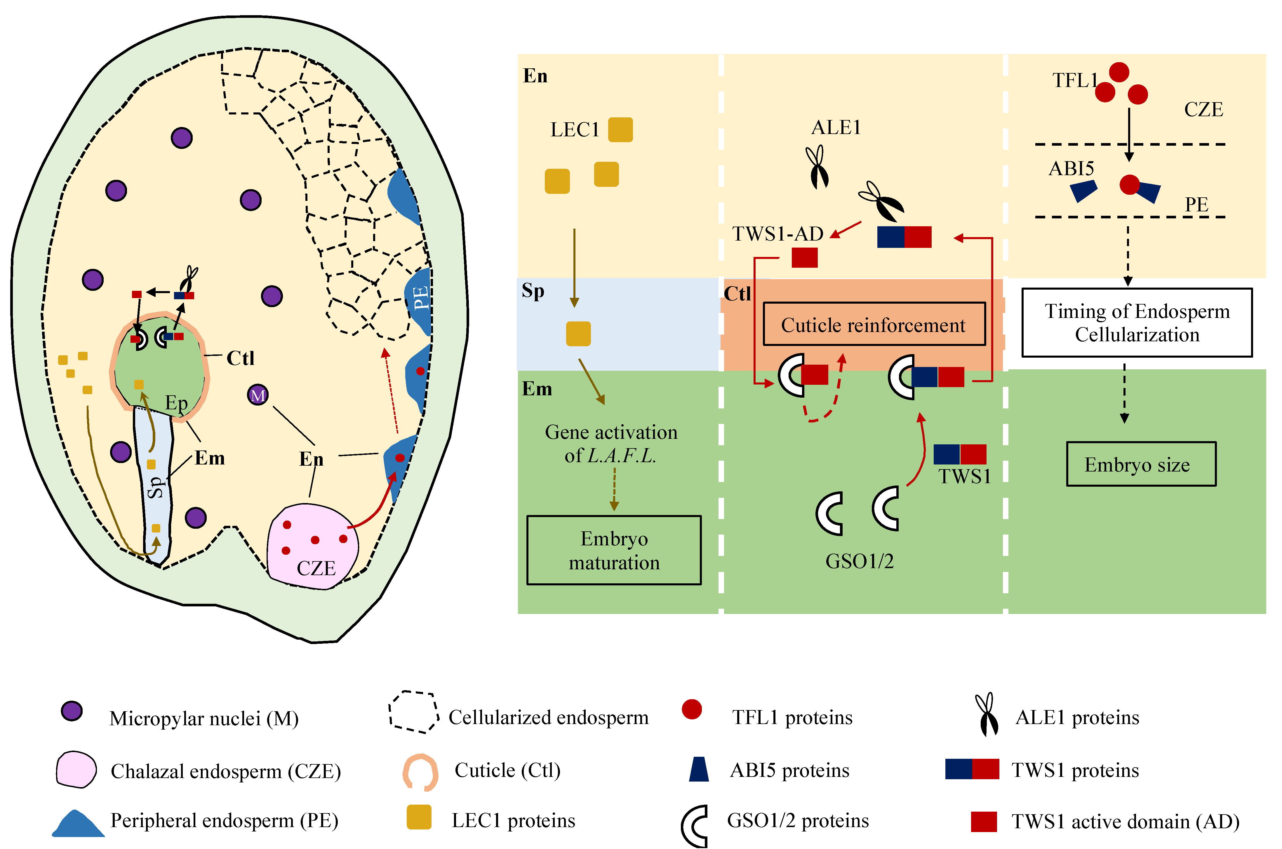Plants 10 02511 g002 550