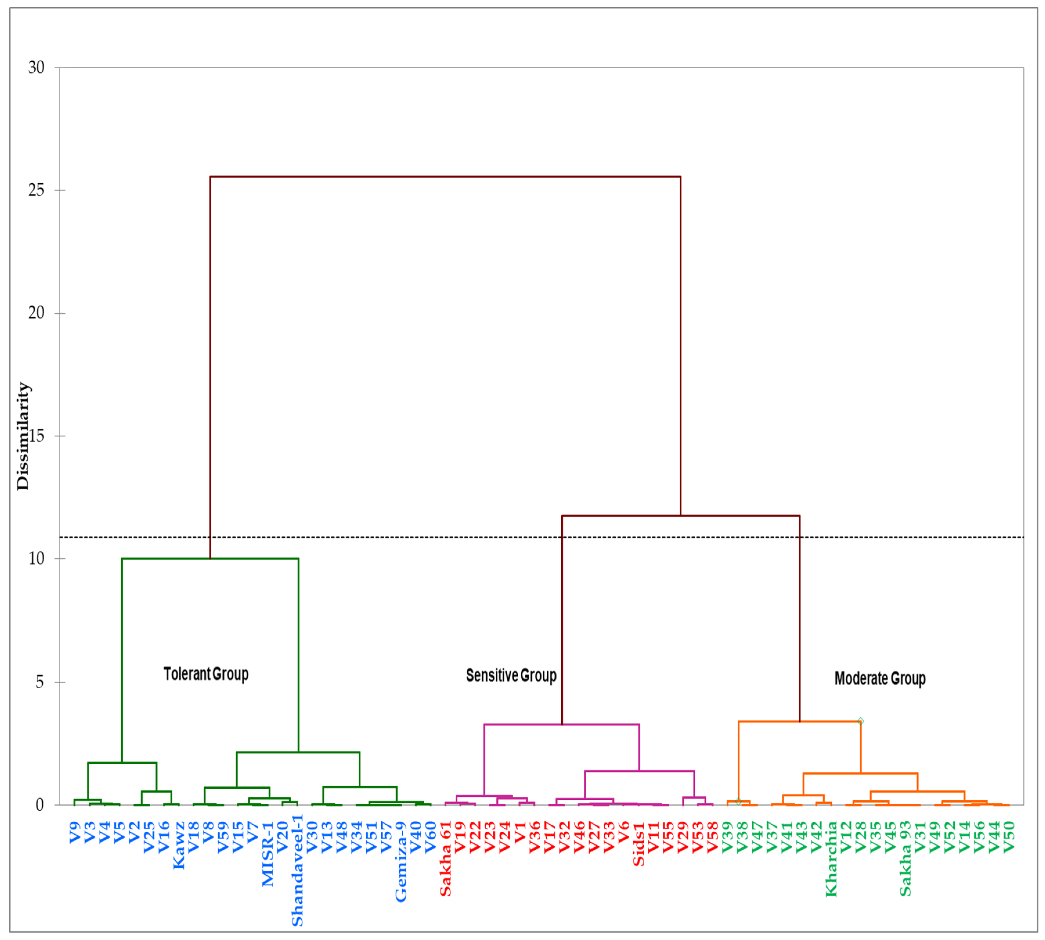 Plants 10 02512 g003