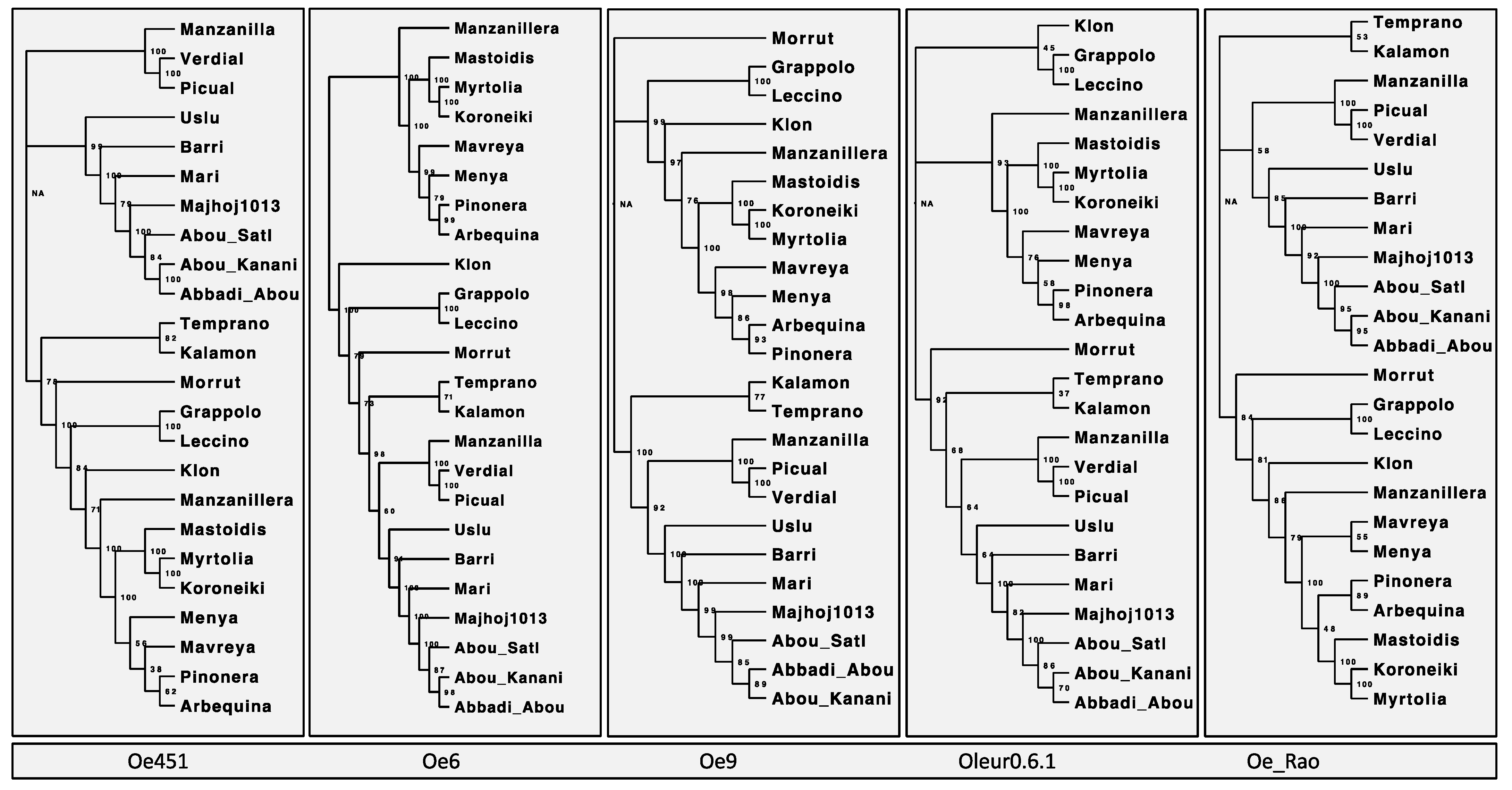 Plants 10 02514 g001 550