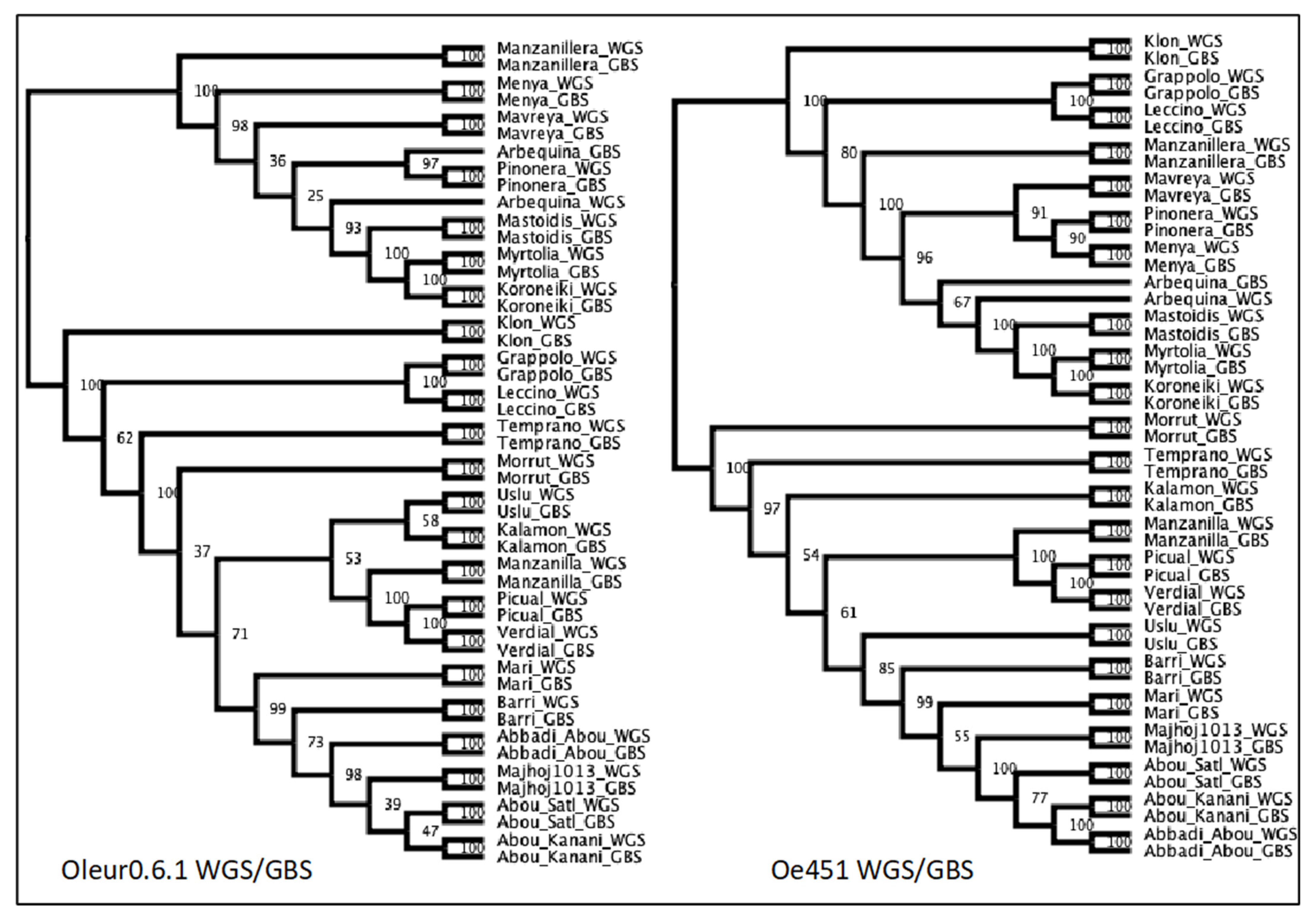 Plants 10 02514 g003 550