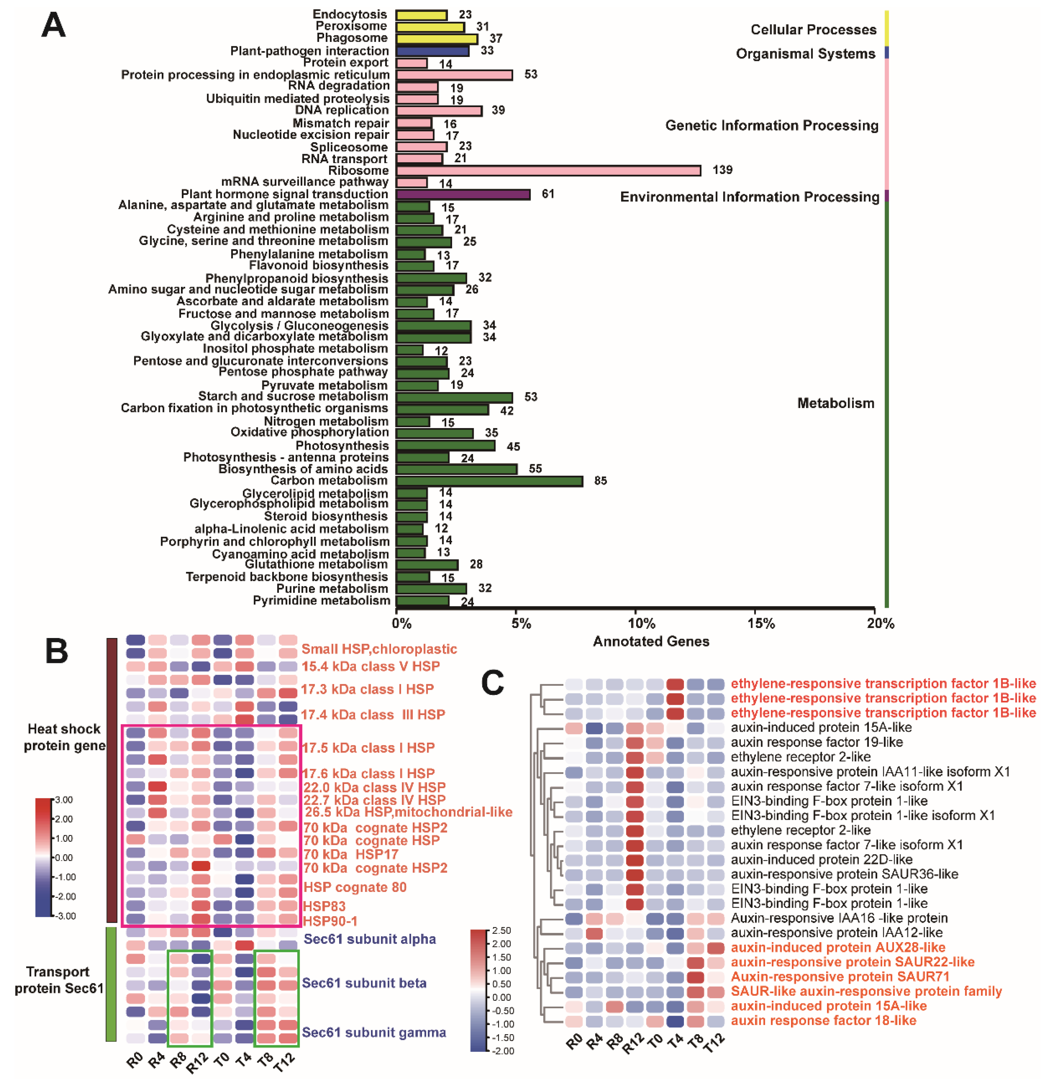 Plants 10 02517 g003 Plants 10 02517 g003