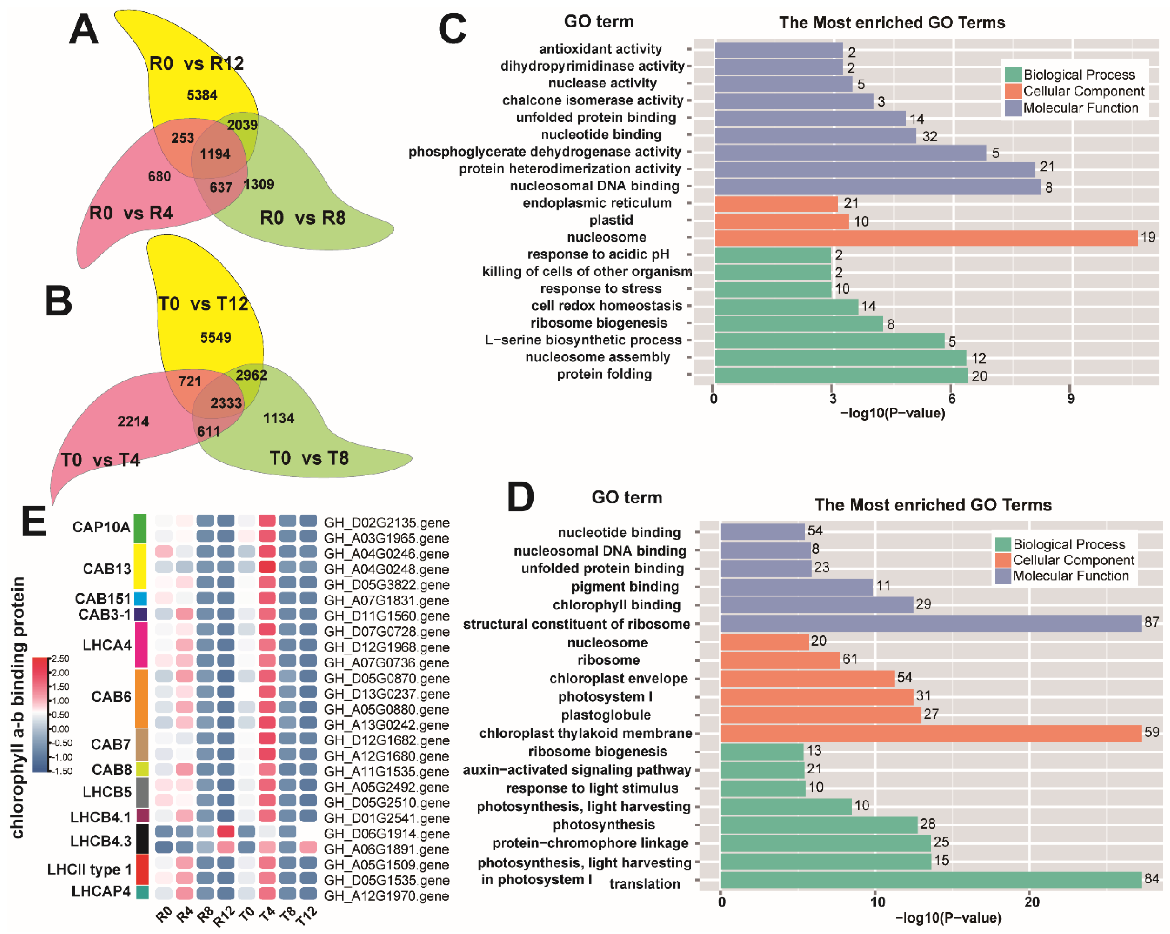 Plants 10 02517 g004 Plants 10 02517 g004
