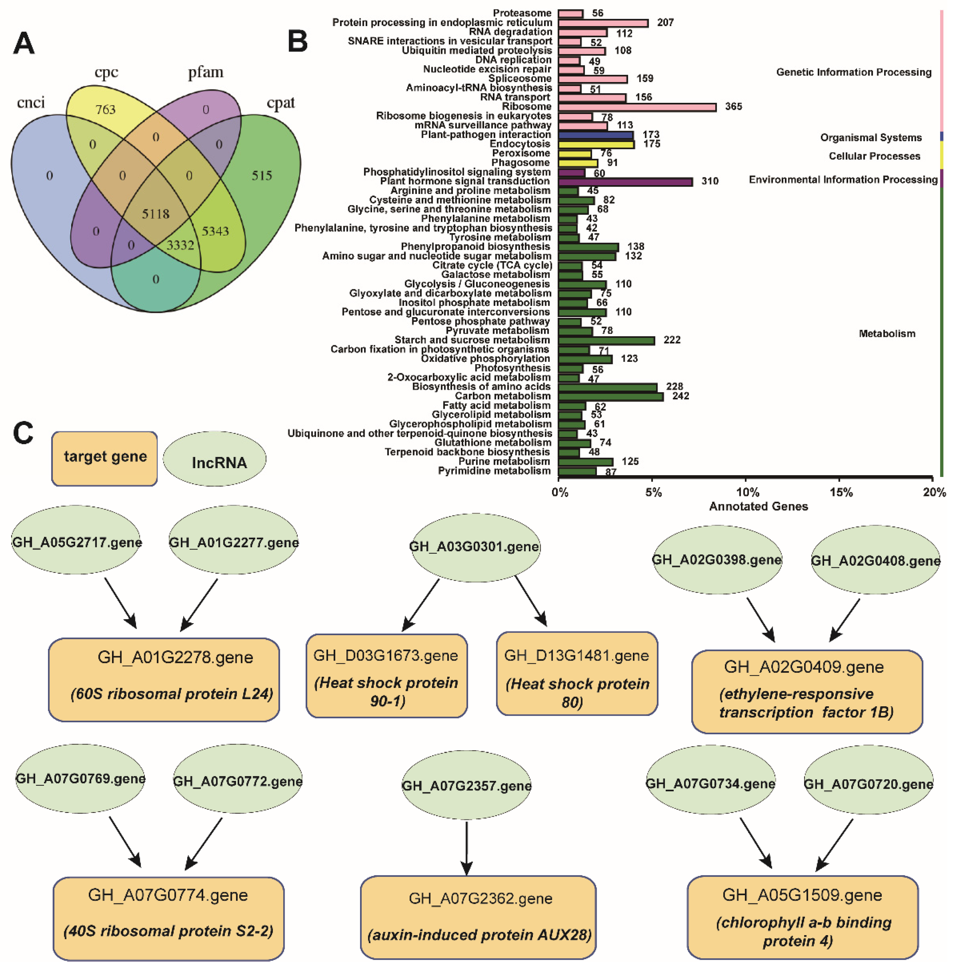 Plants 10 02517 g005 Plants 10 02517 g005