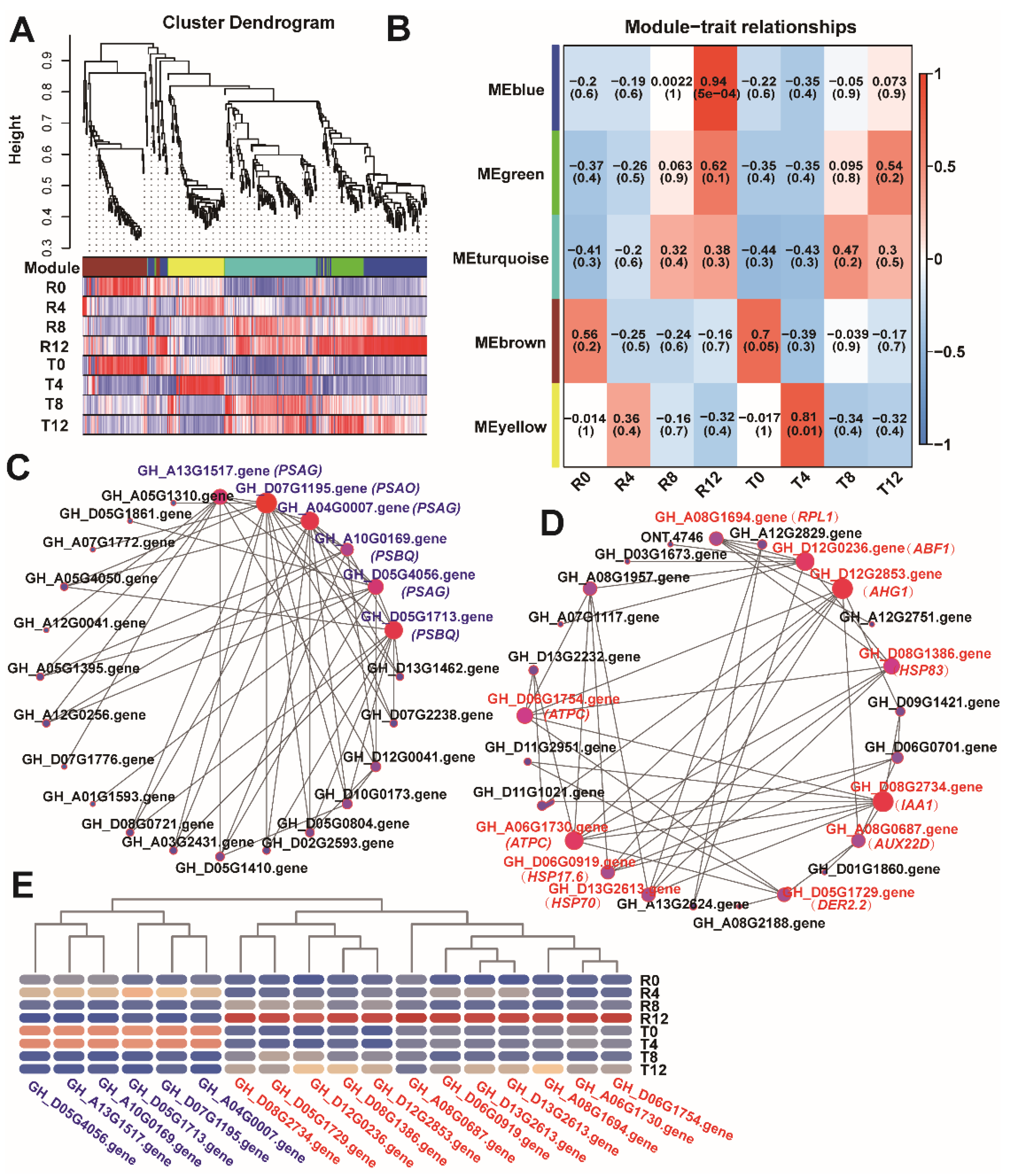 Plants 10 02517 g006 Plants 10 02517 g006