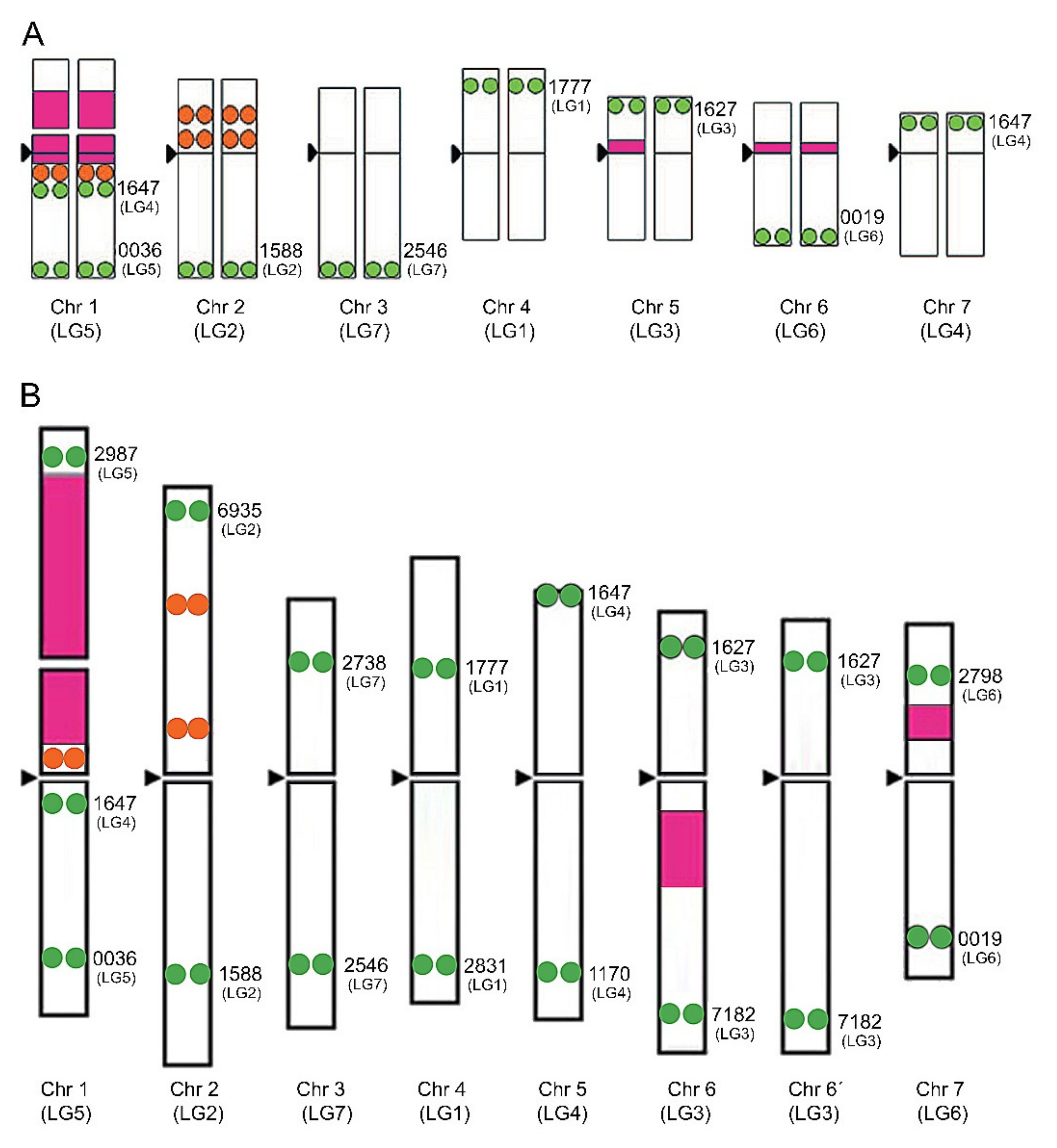 Plants 10 02518 g001 Plants 10 02518 g001