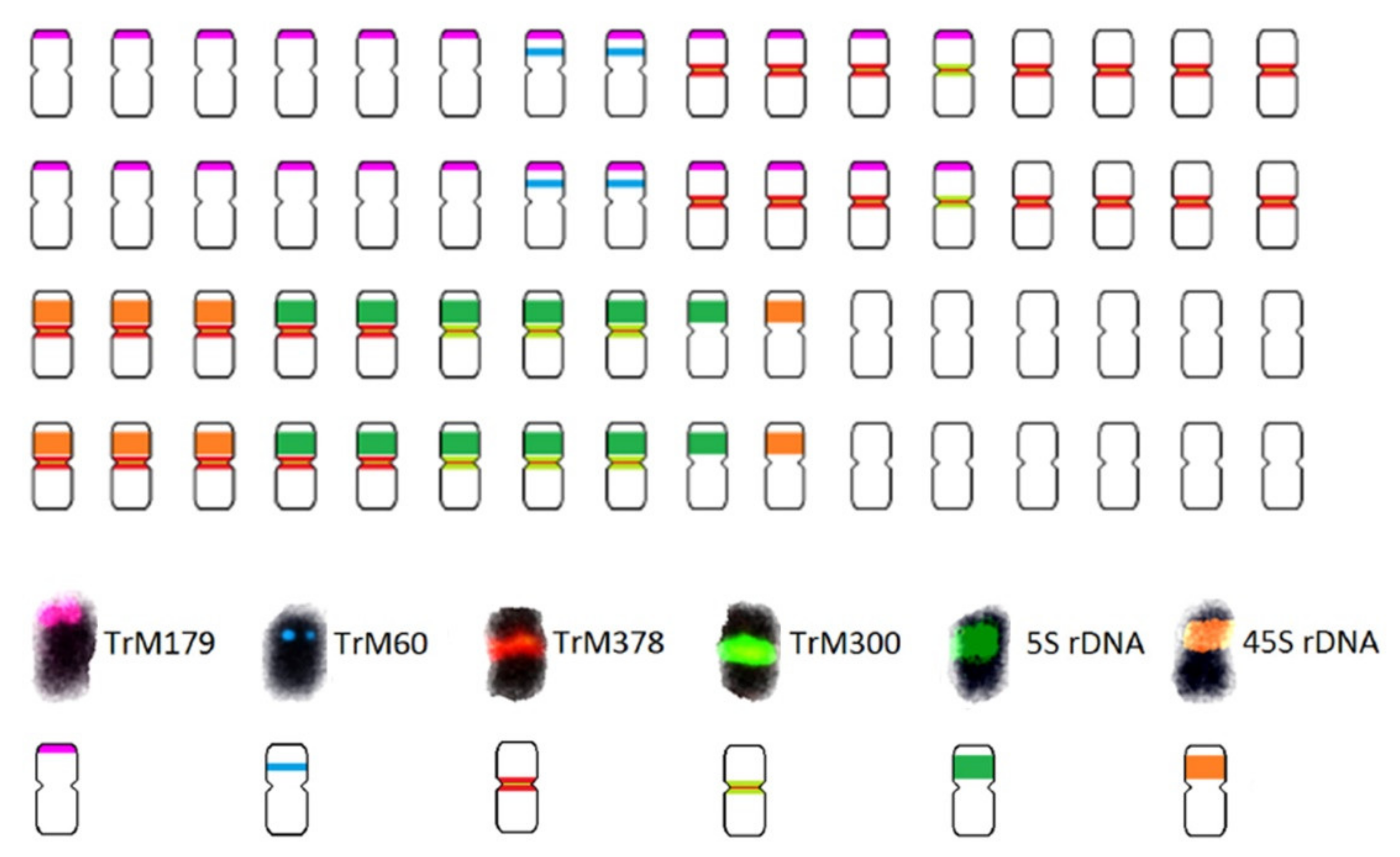 Plants 10 02518 g003 Plants 10 02518 g003