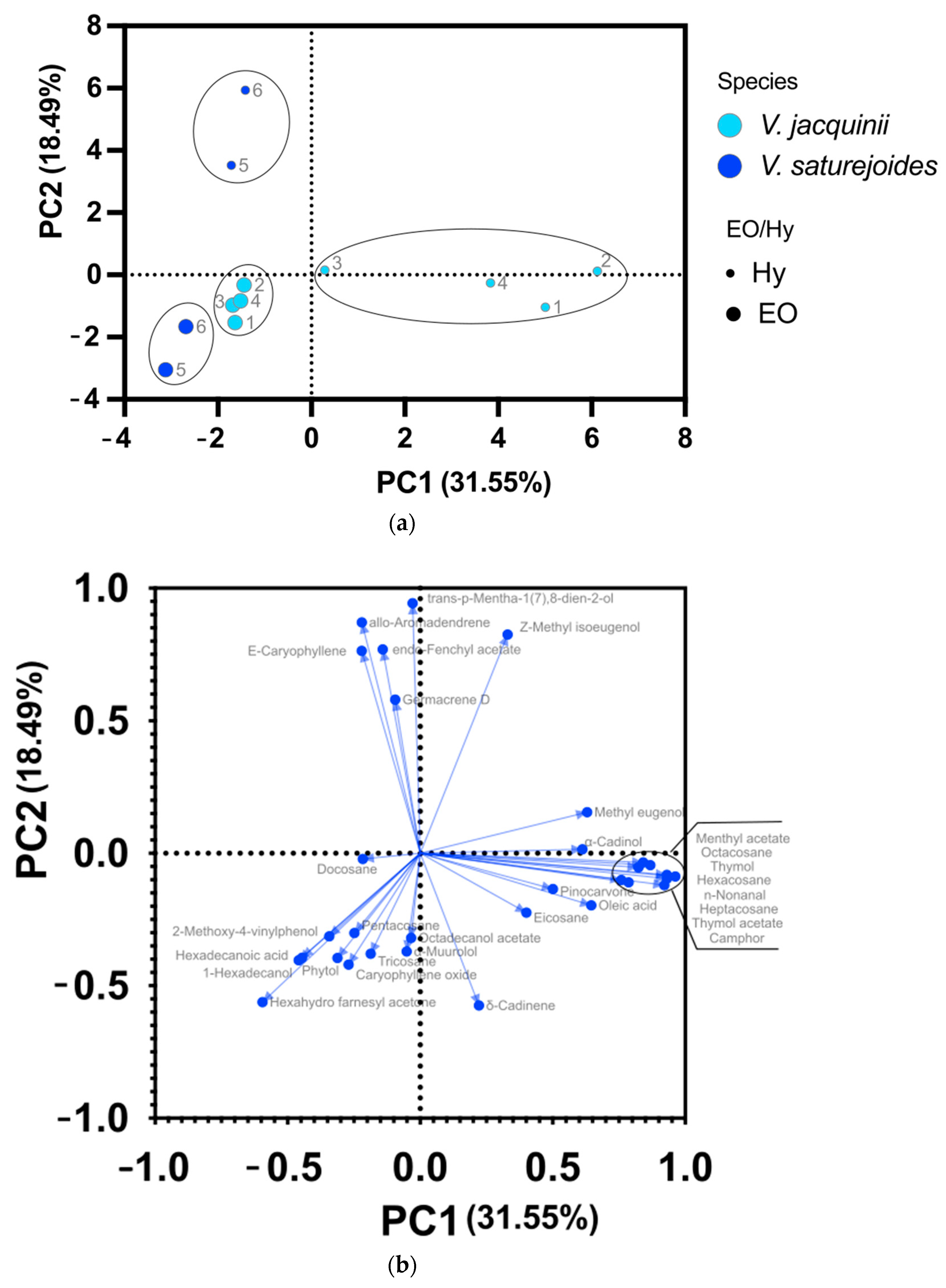 Plants 10 02529 g003 550