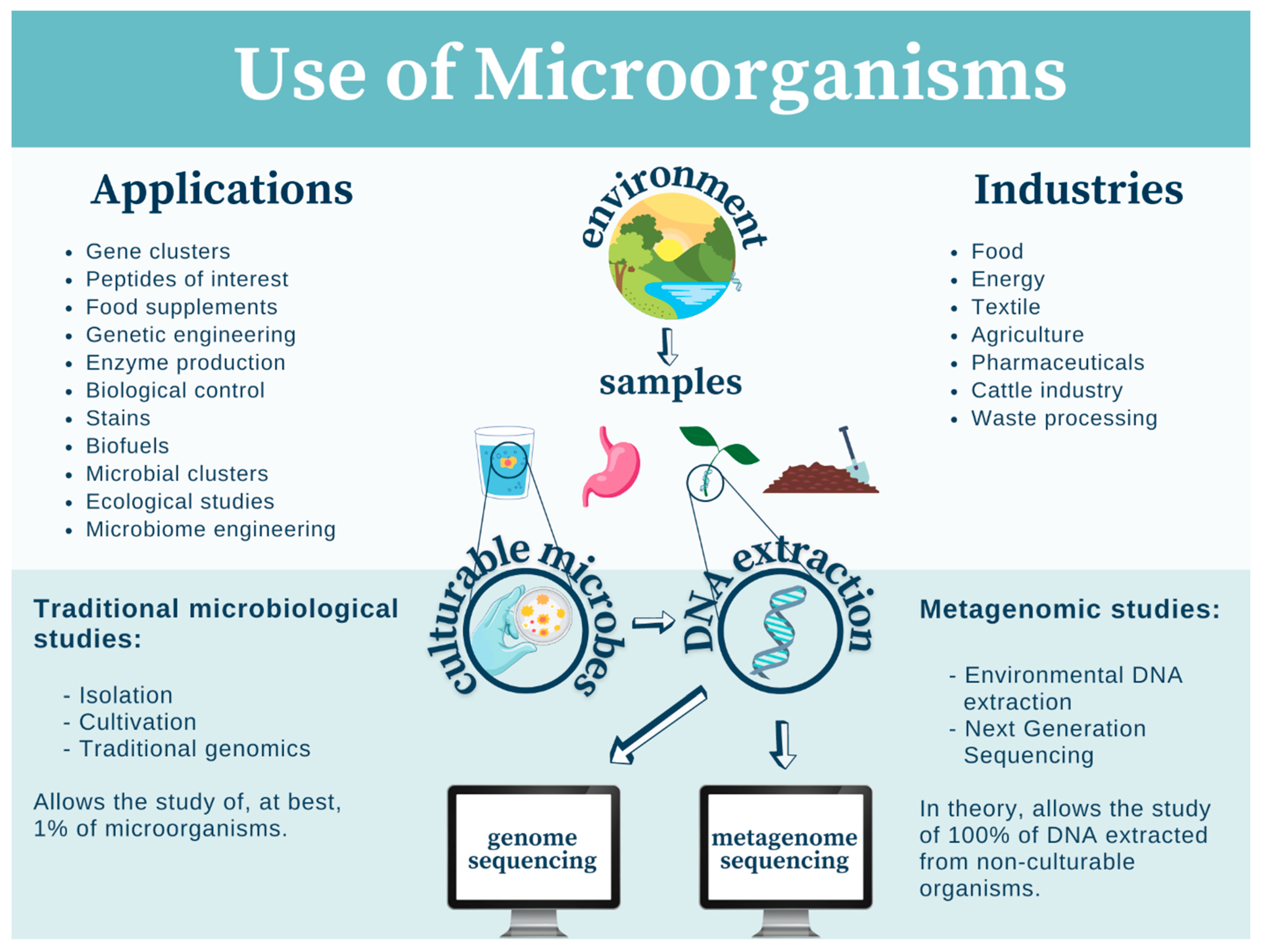 Plants 10 02530 g001