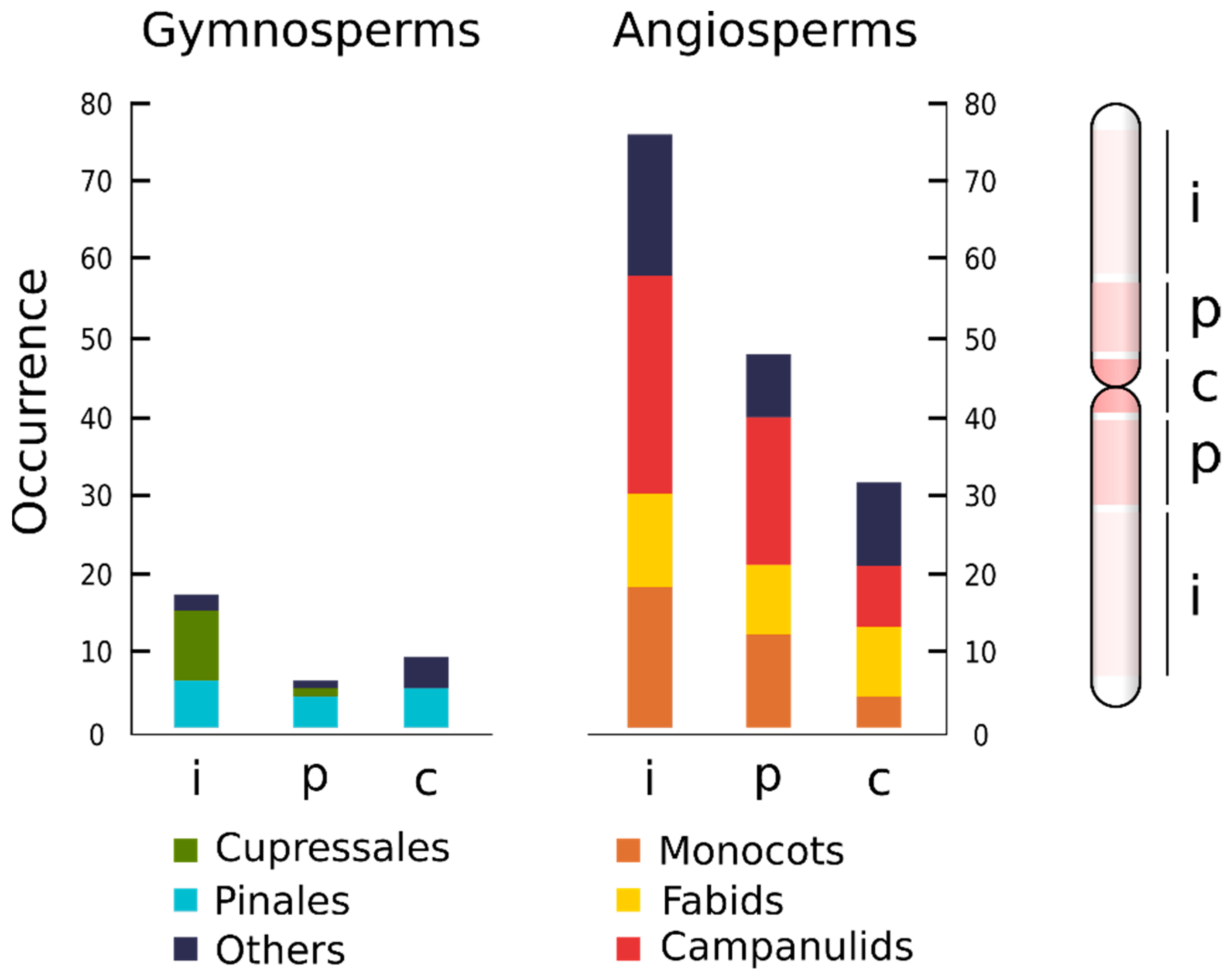 cotton Interstitial Telomeric-like Repeats (ITR) in Seed Plants as
