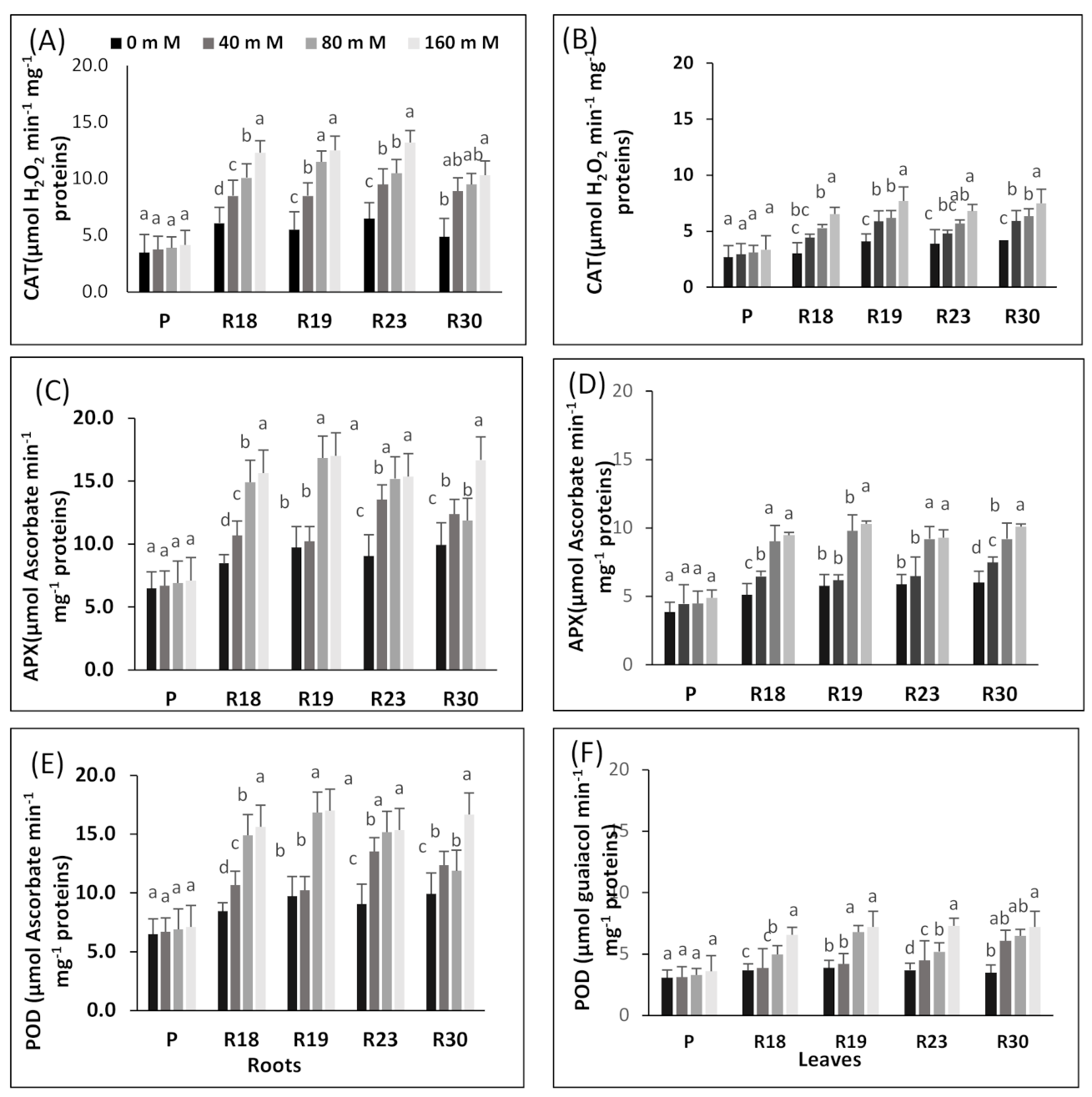 Plants 10 02544 g006