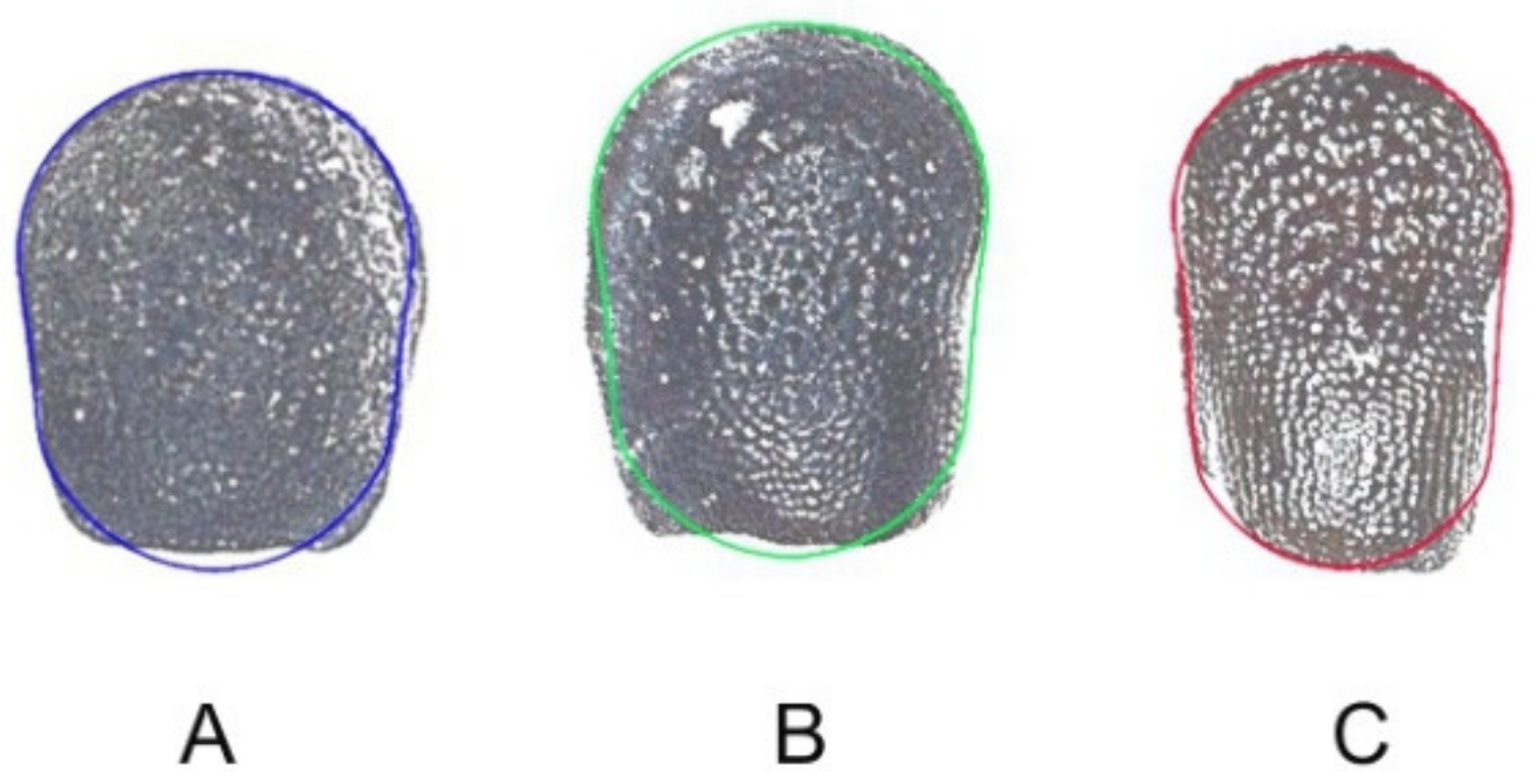 Plants 10 02546 g002