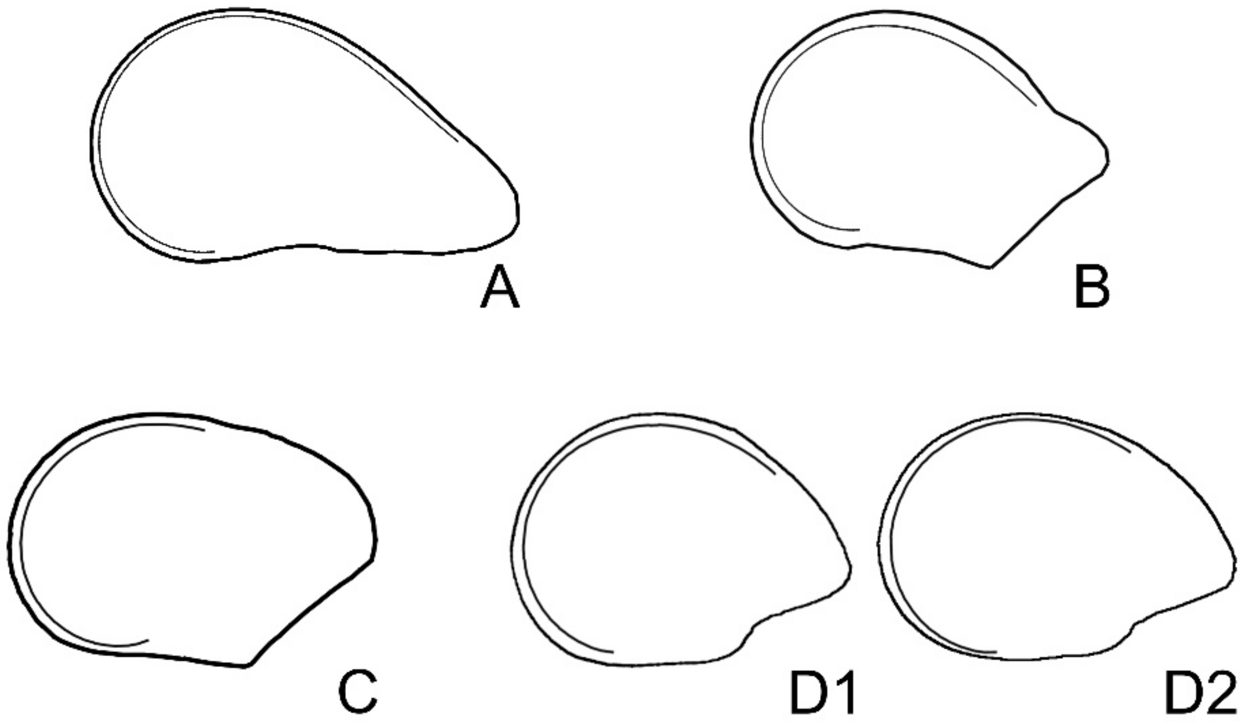 Plants 10 02546 g004
