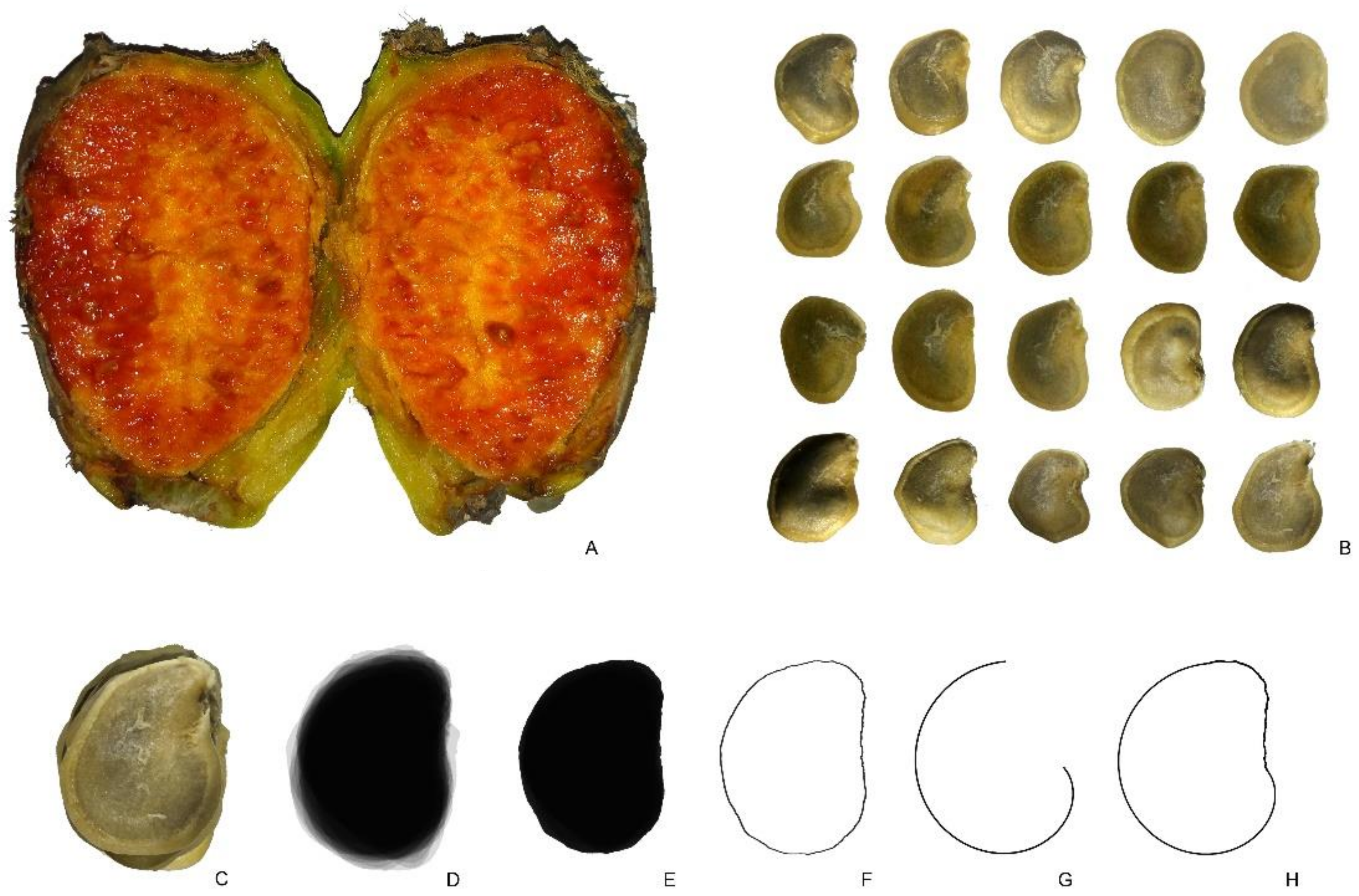 Plants 10 02546 g009