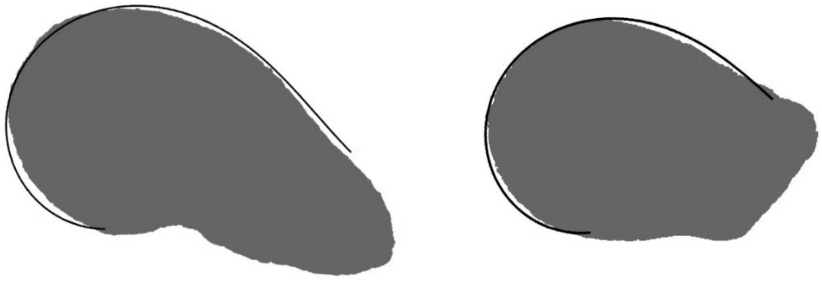 Plants 10 02546 g011