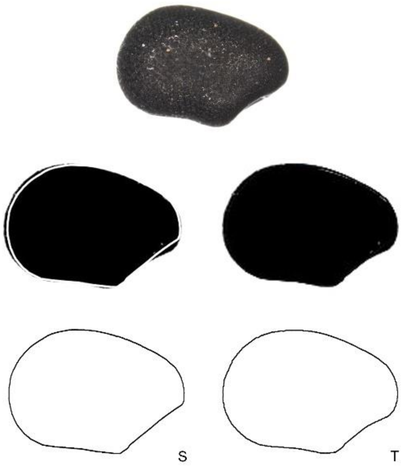 Plants 10 02546 g012