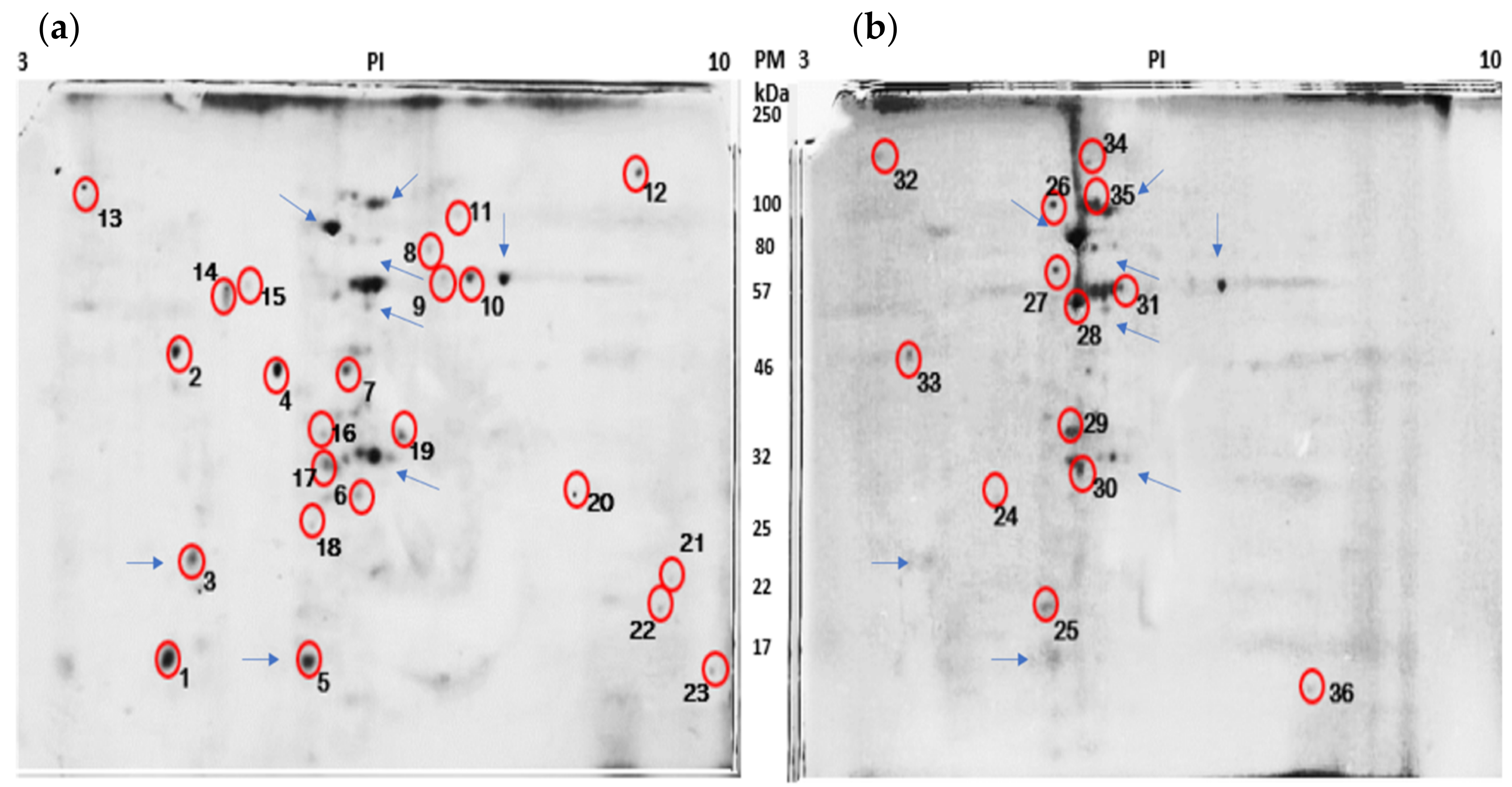 Plants 10 02559 g003 550